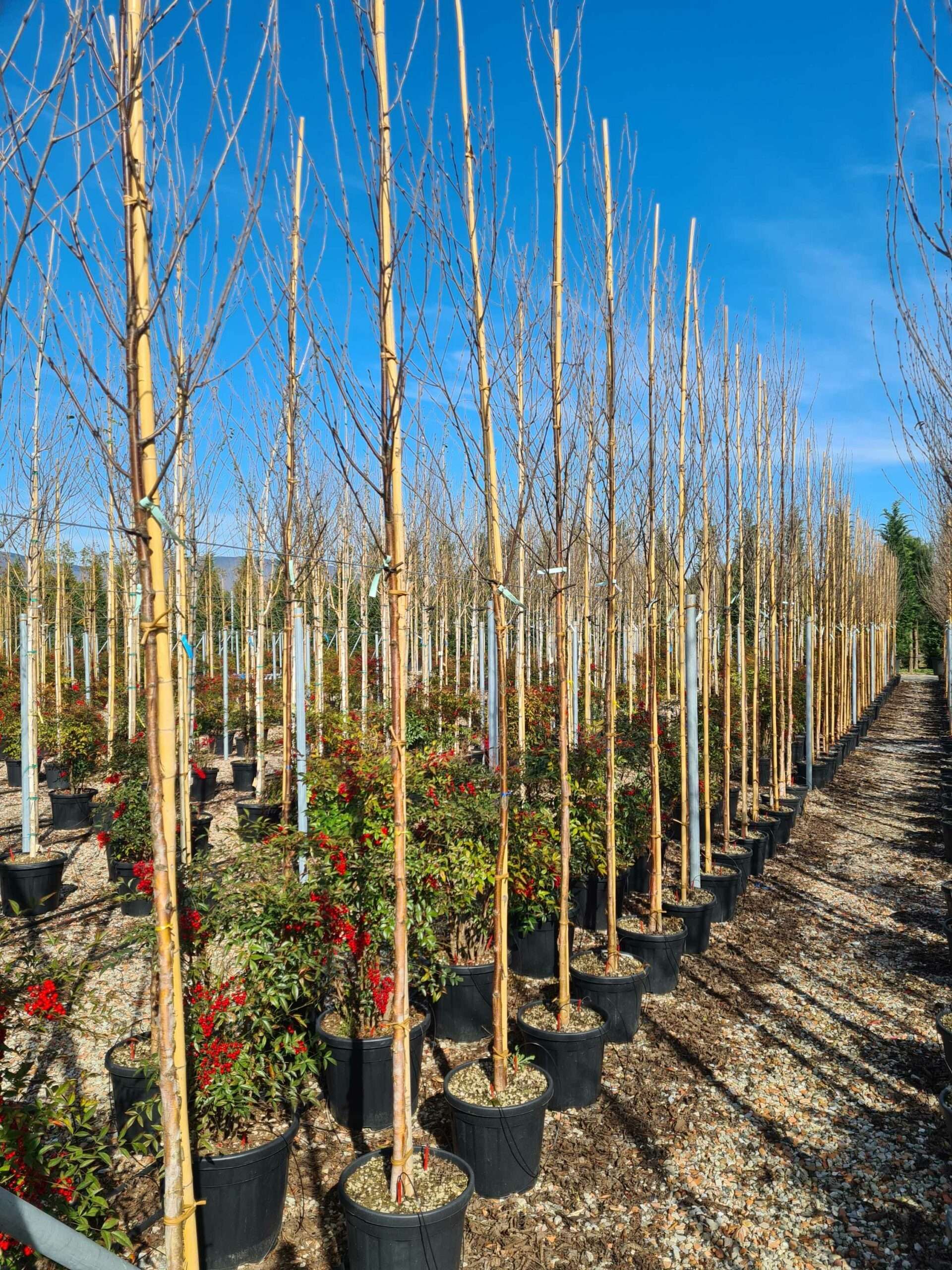 1680012596 scaled 7388c878