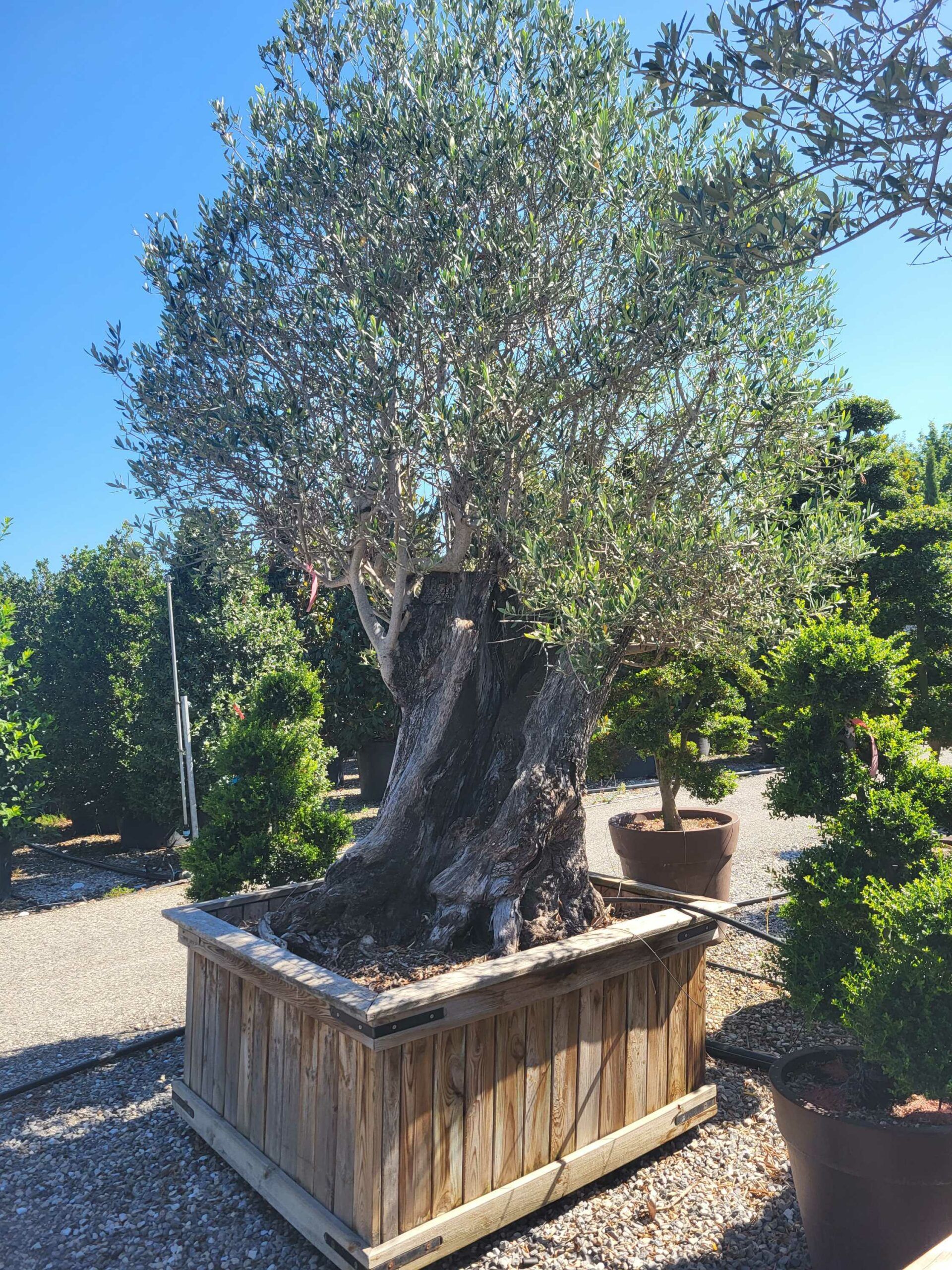 1691656434 scaled 7334027a