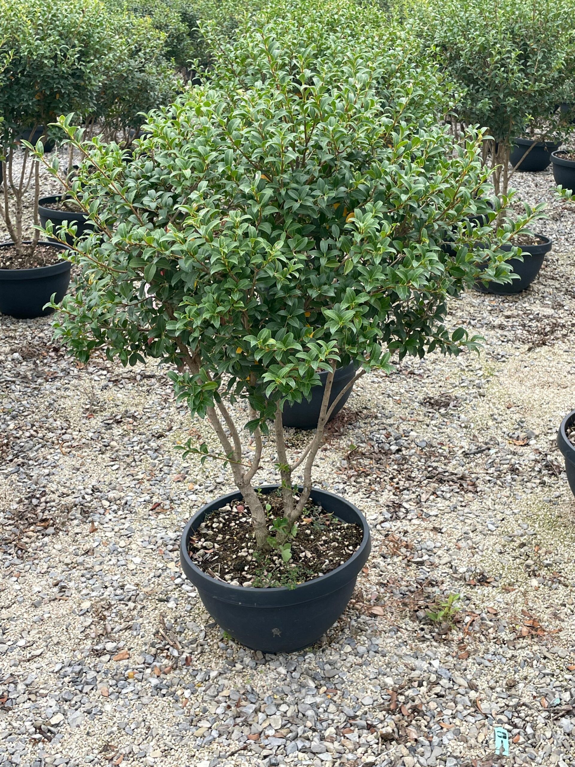 1695050457 scaled 73d3caf0