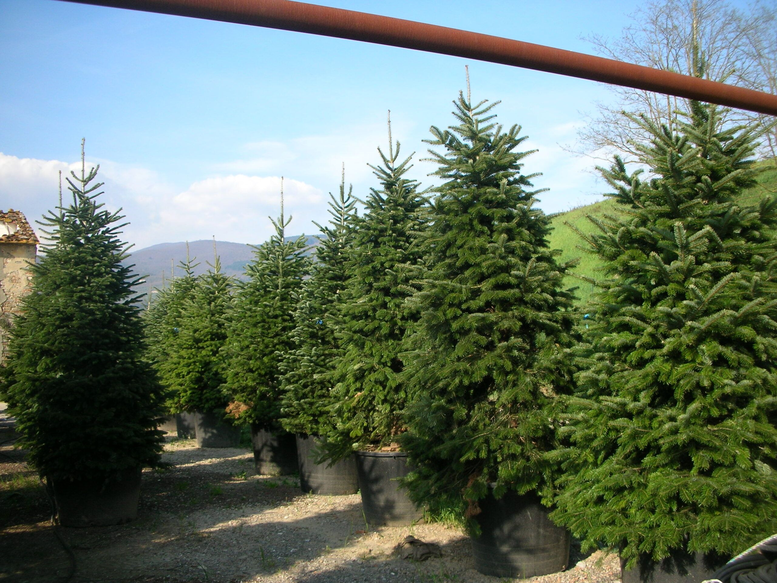 1607183346 scaled 747e03e6