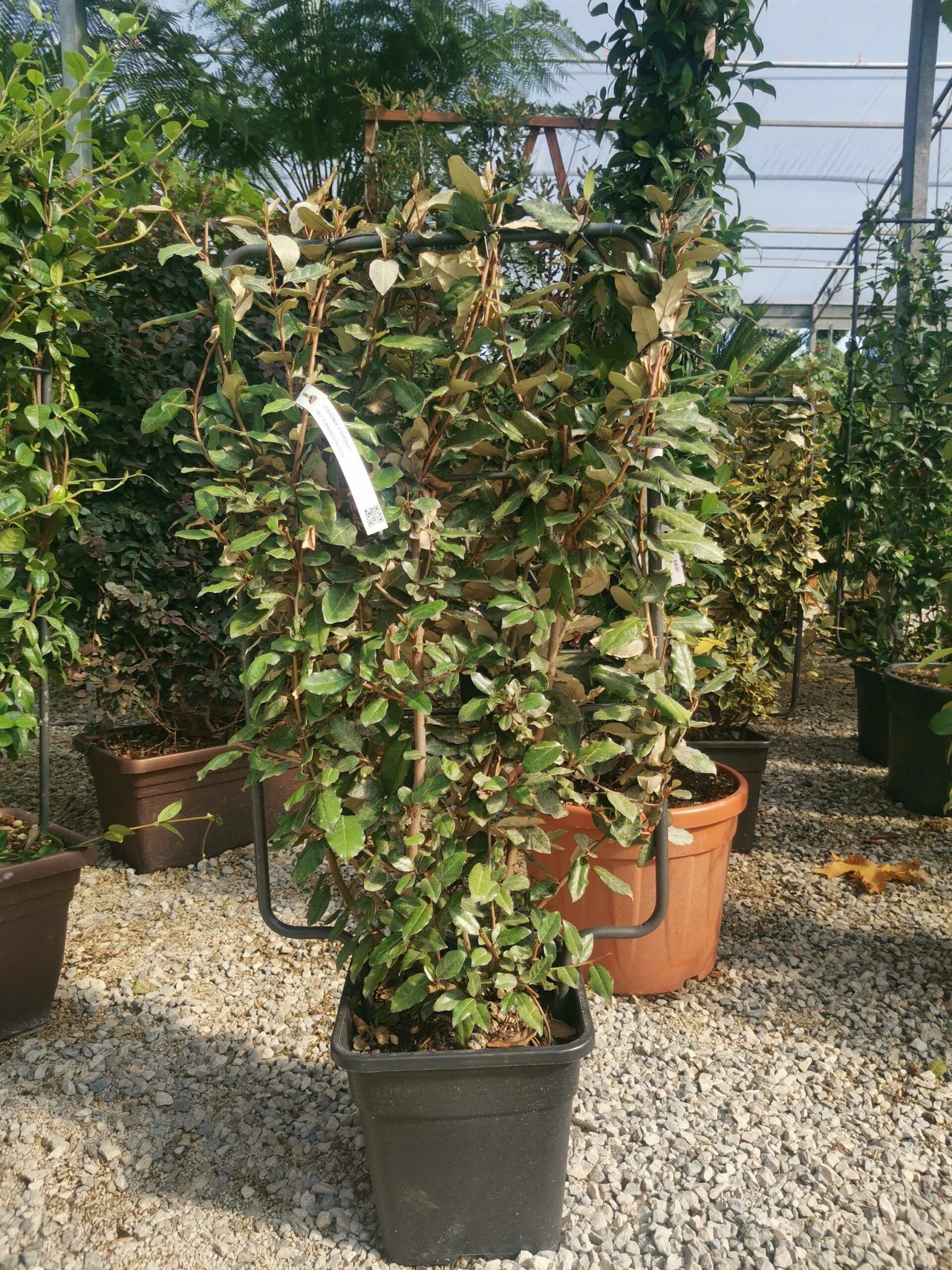 1632487891 scaled 74acabc5