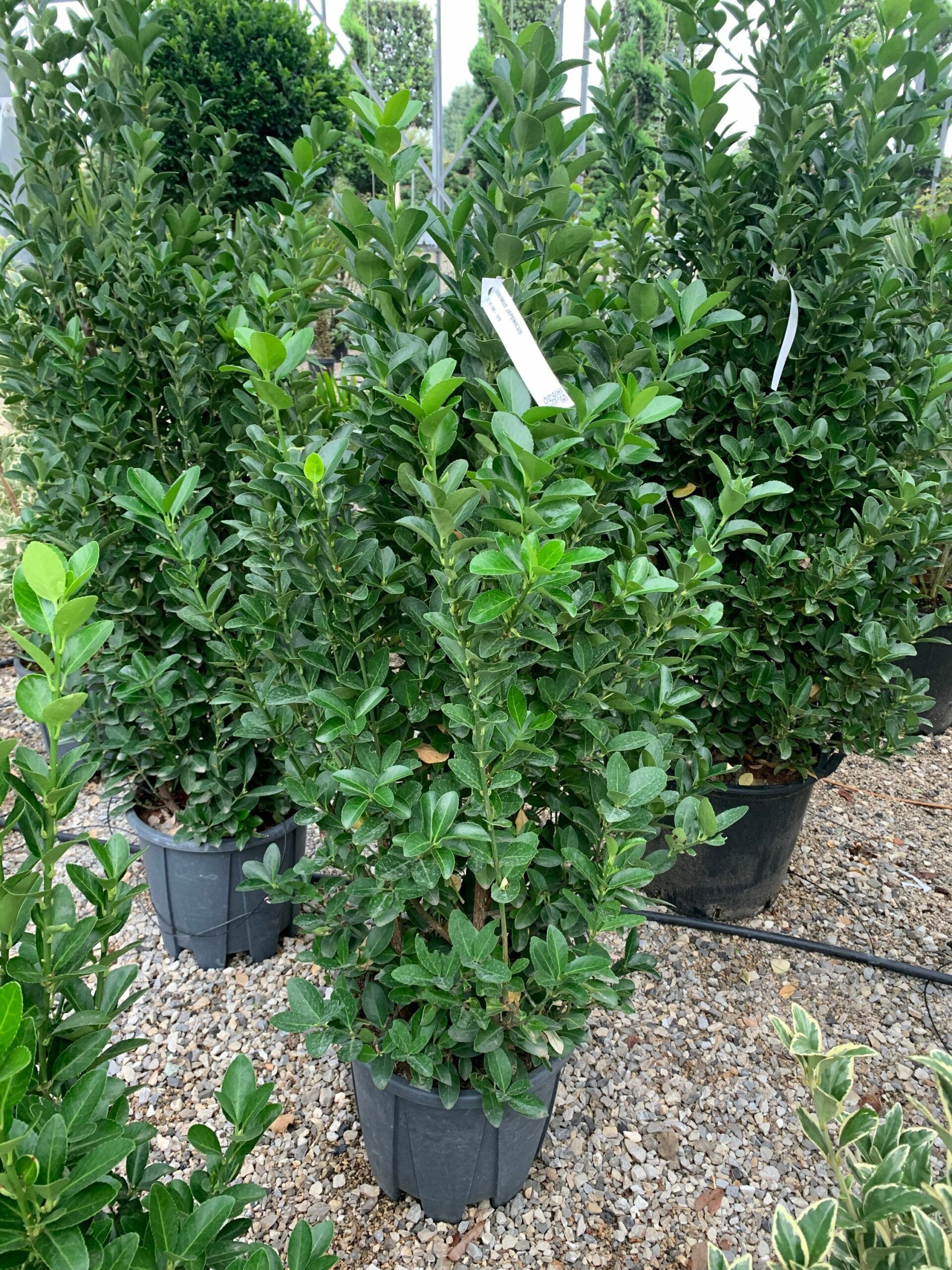 1633334930 scaled 74639908