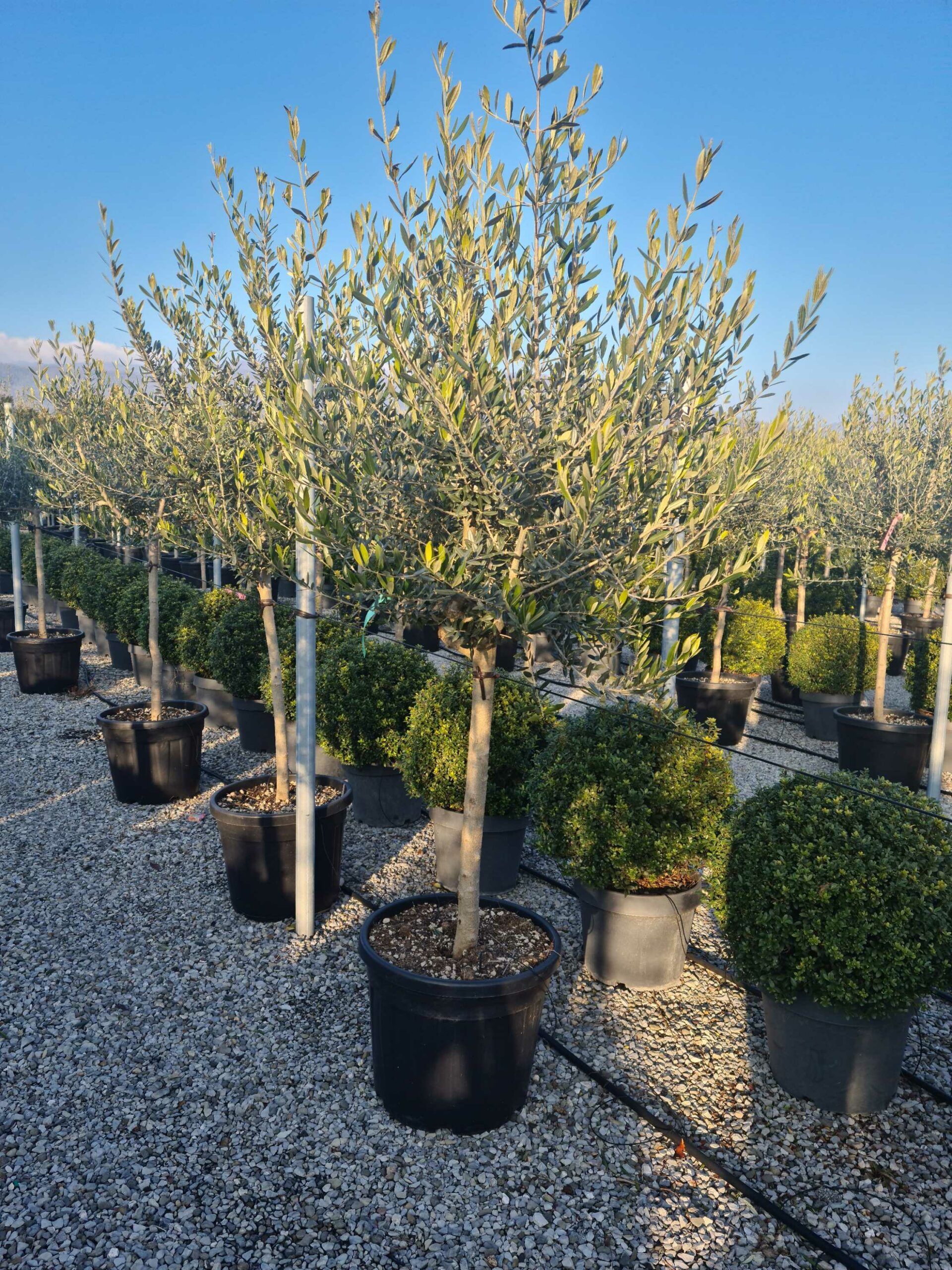 1642776836 scaled 744f848e