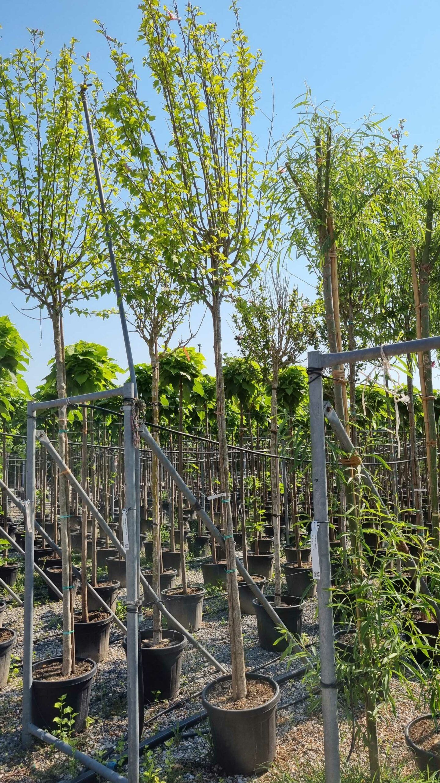 1658130856 scaled 7455f91f