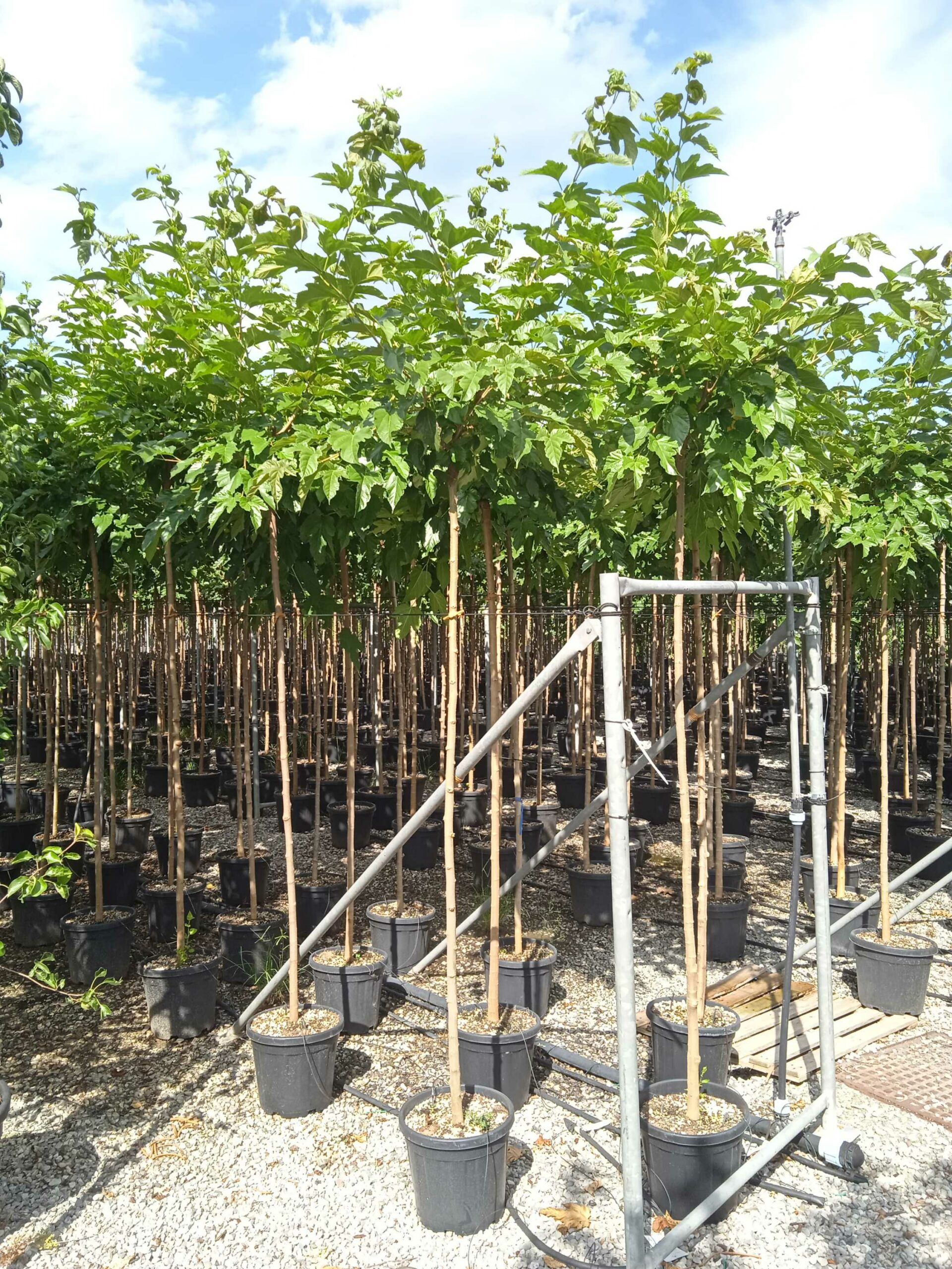 1662039874 scaled 743fe24e