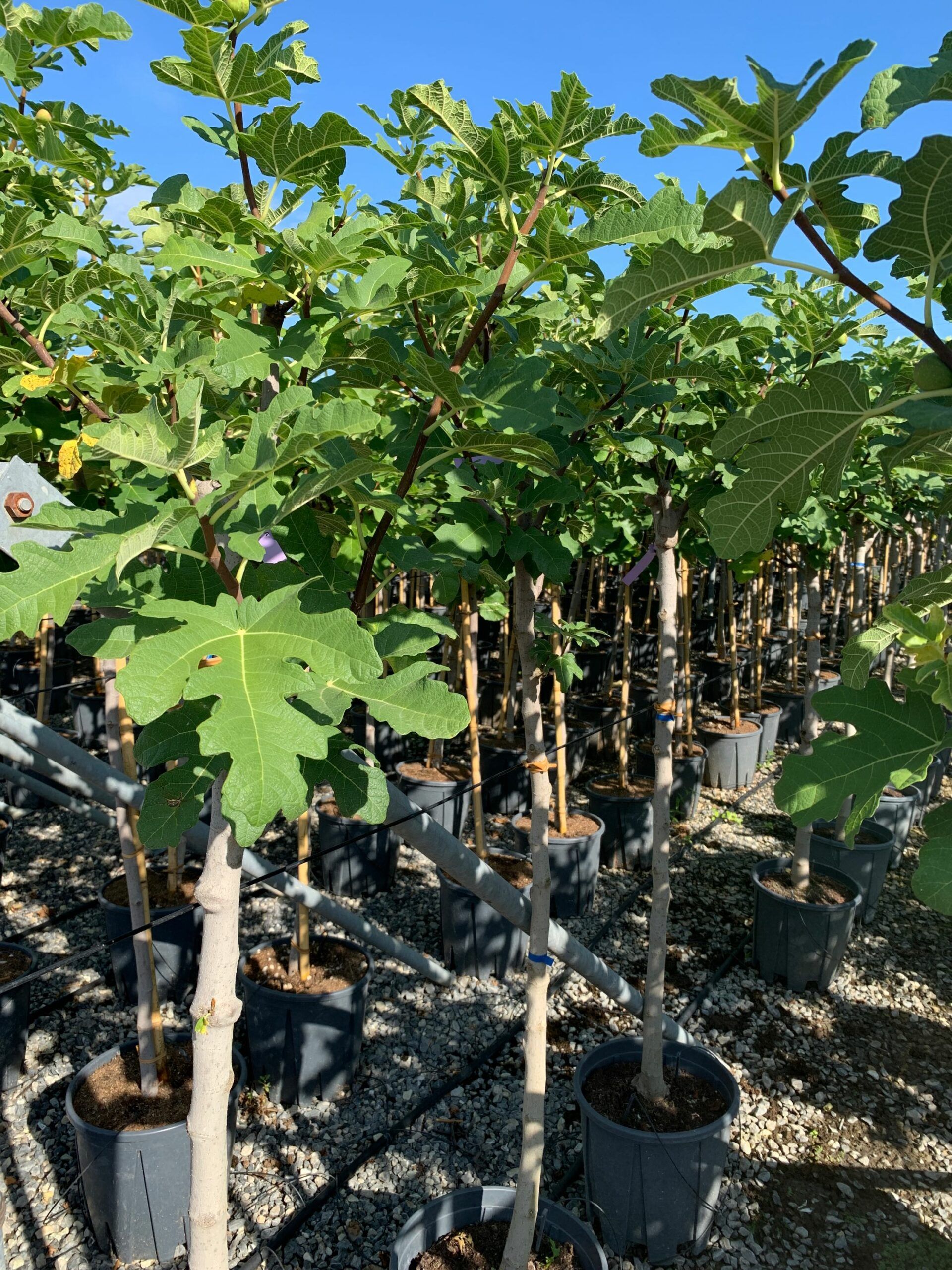 1662105394 scaled 74382bb4