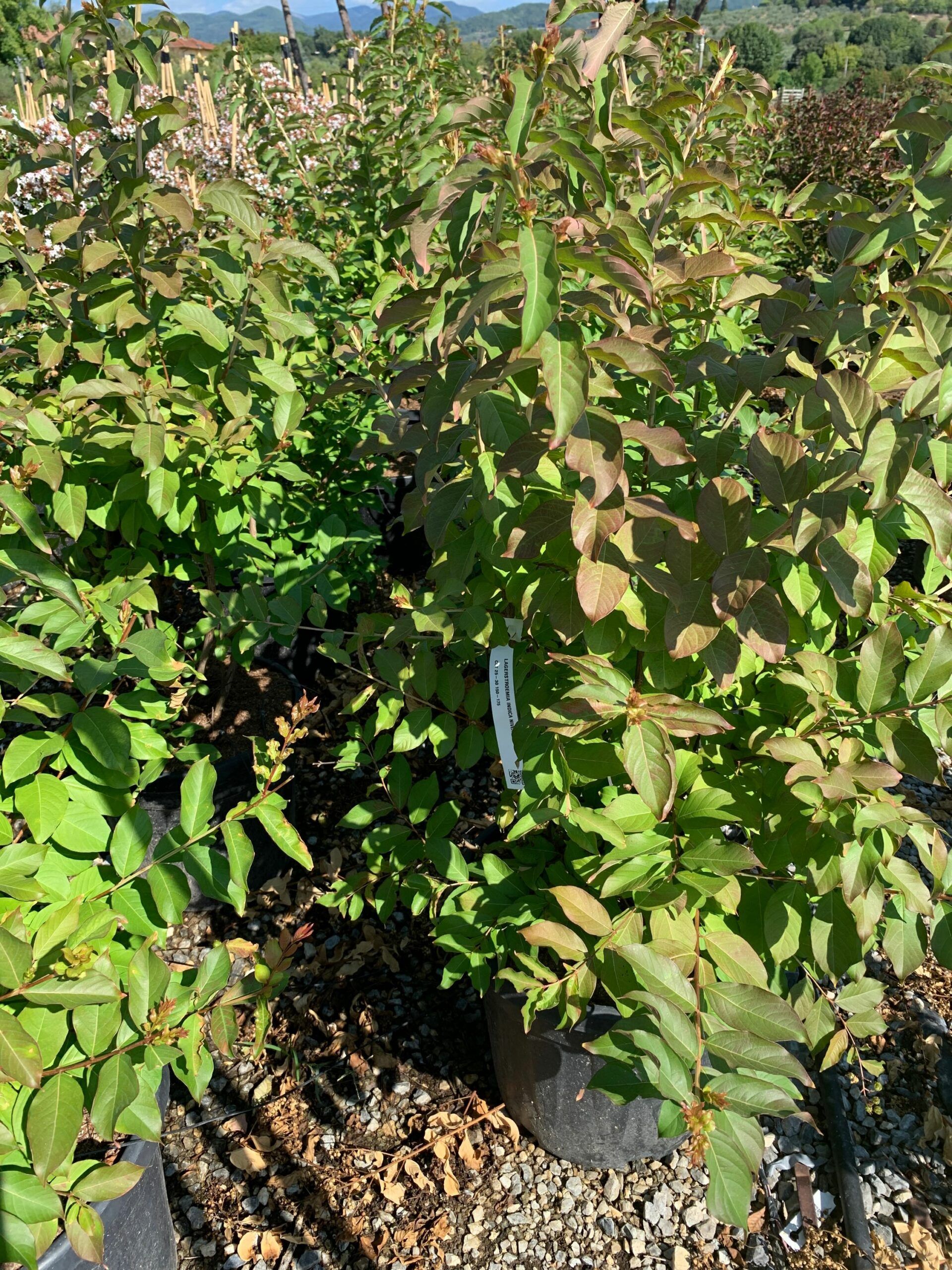 1662108681 scaled 74efaf1f