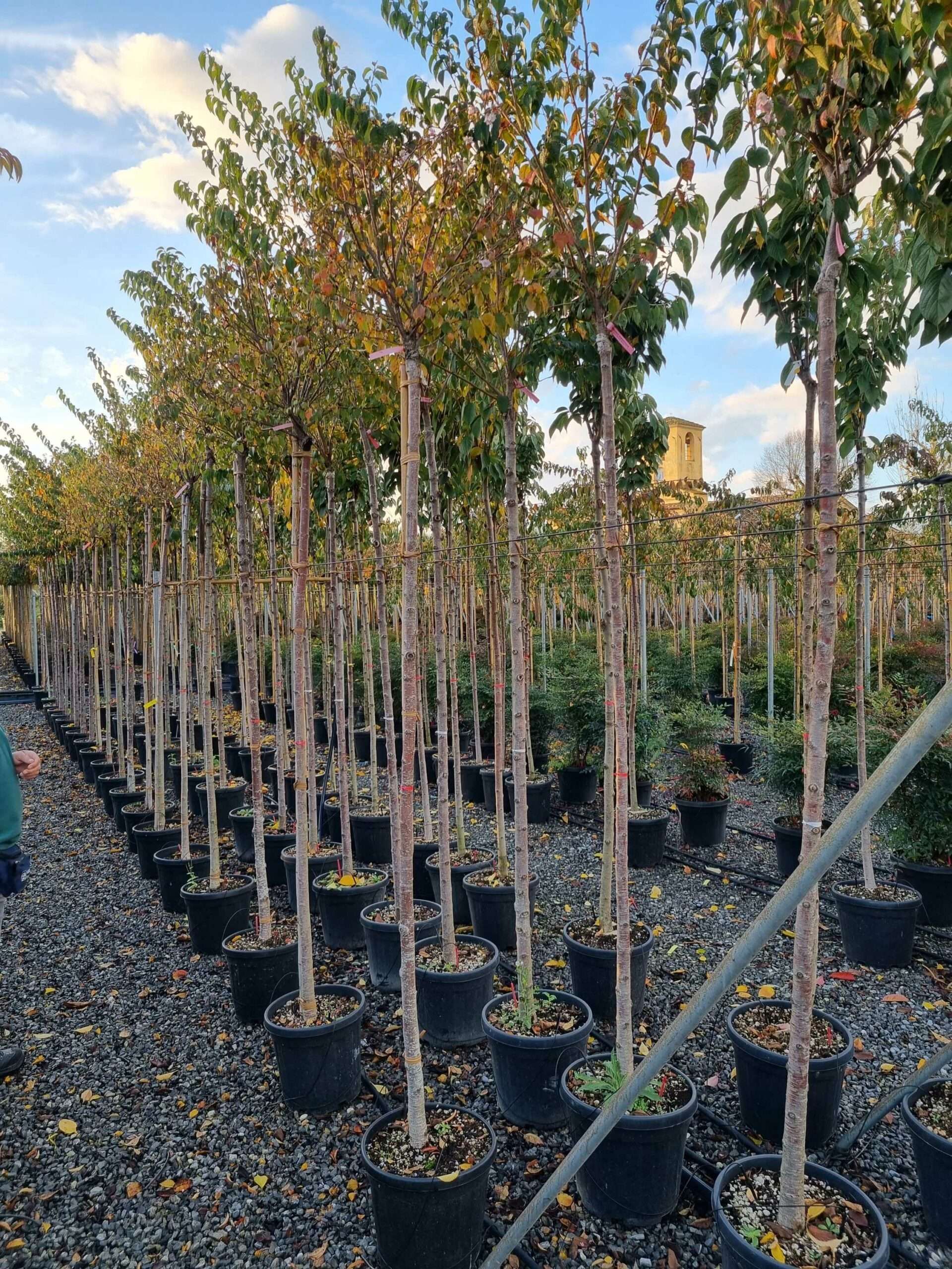 1668784267 scaled 74910f11