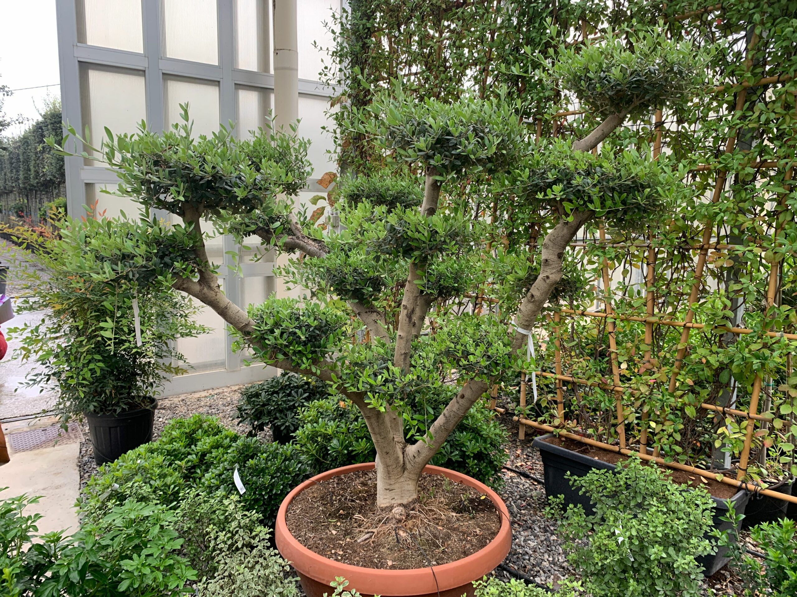 1633337461 scaled 75c14f5d