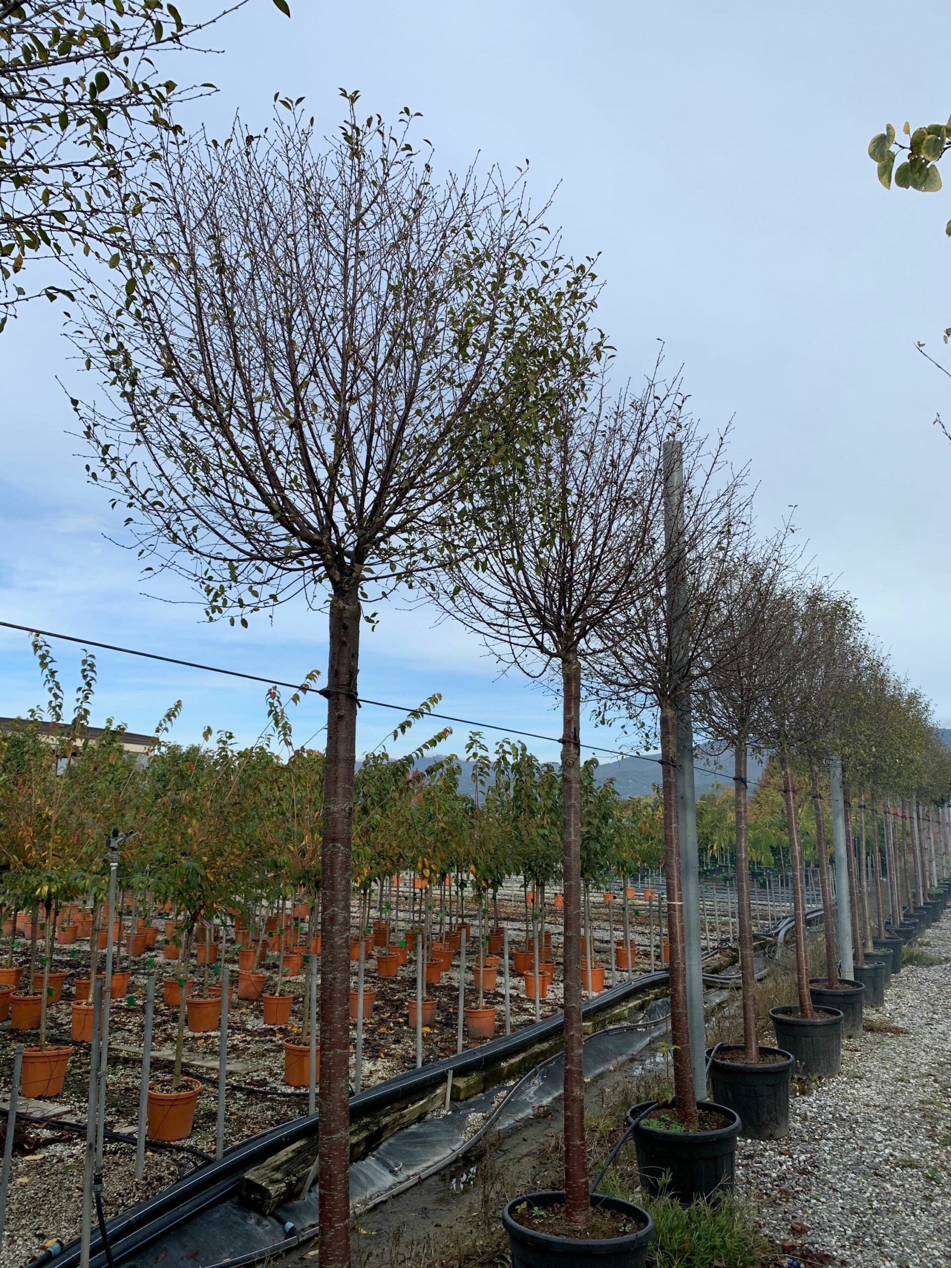 1636101400 scaled 75d515ff