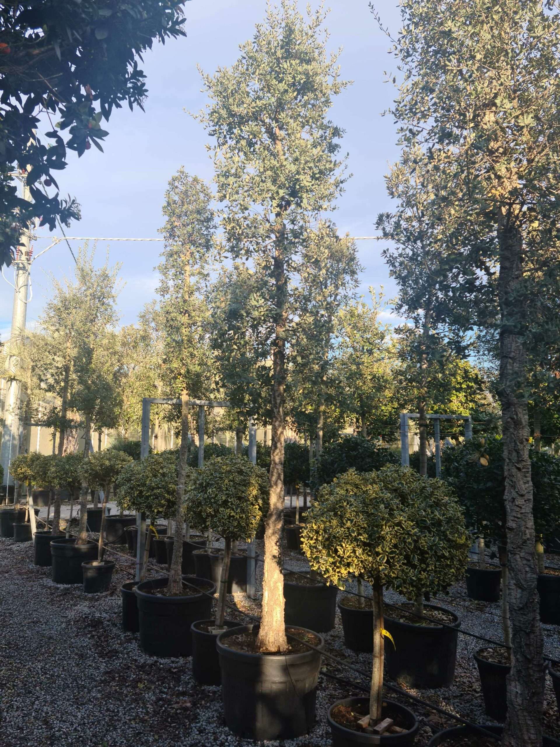 1639404057 scaled 751ad0a6