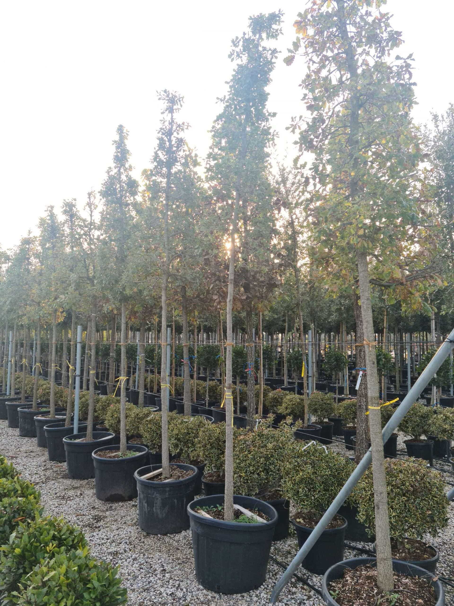 1639491443 scaled 7510c5d1