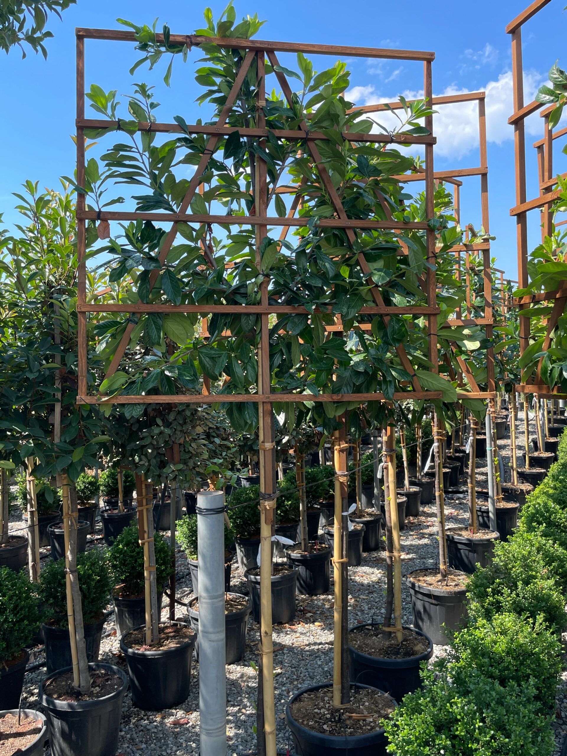 1661508703 scaled 75e56049