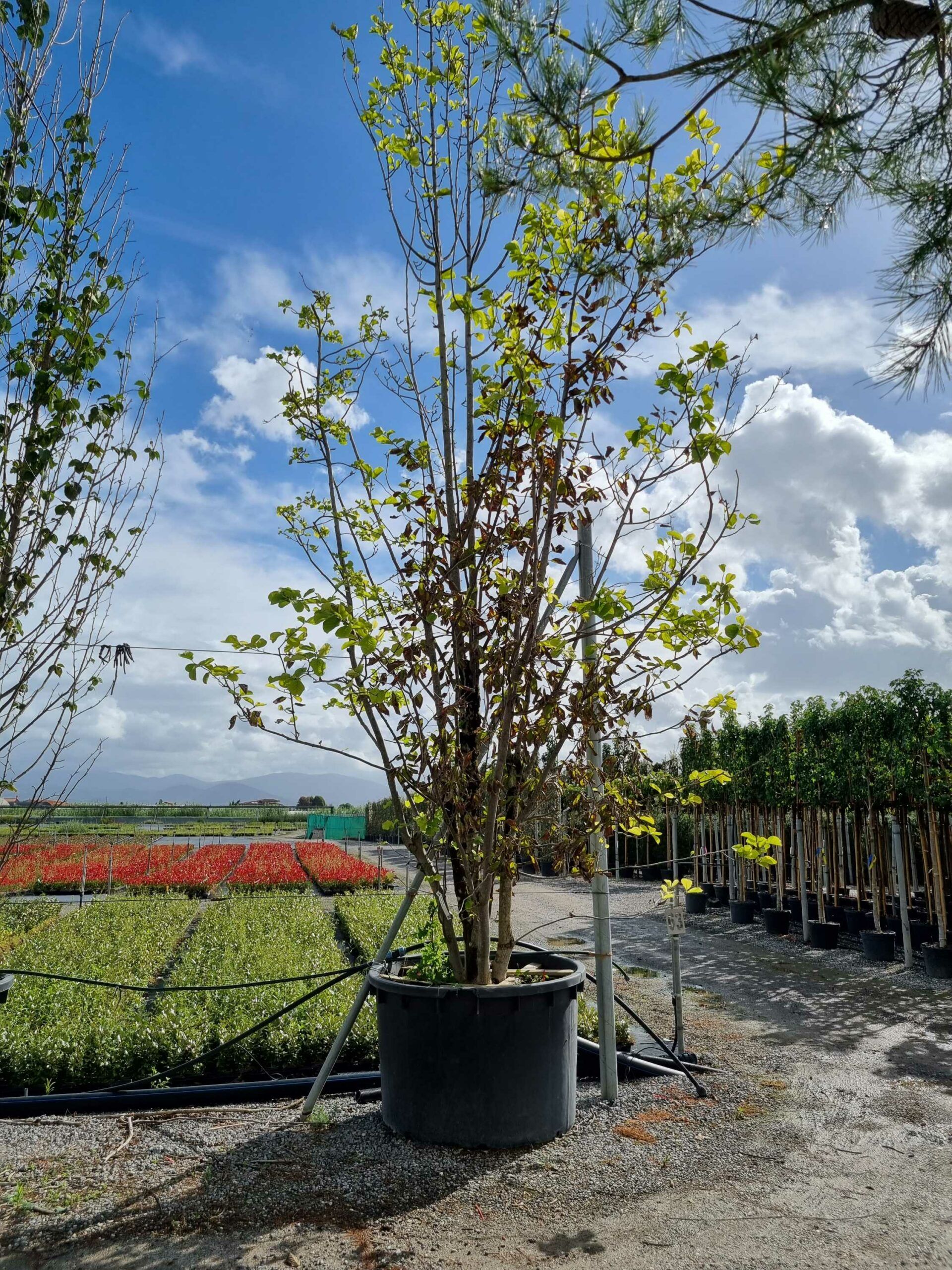 1664442428 scaled 75838475