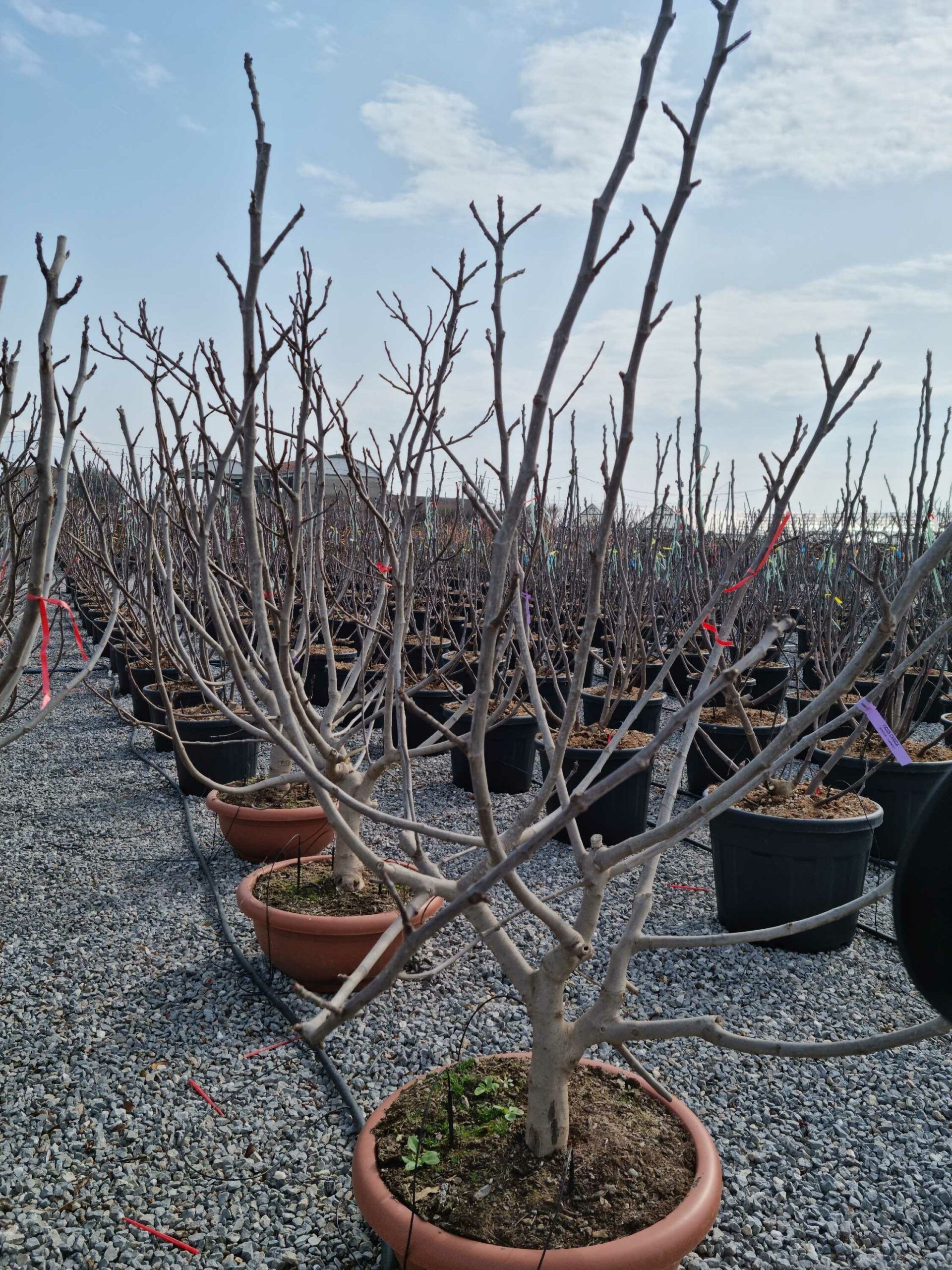 1677831782 scaled 75f4977e