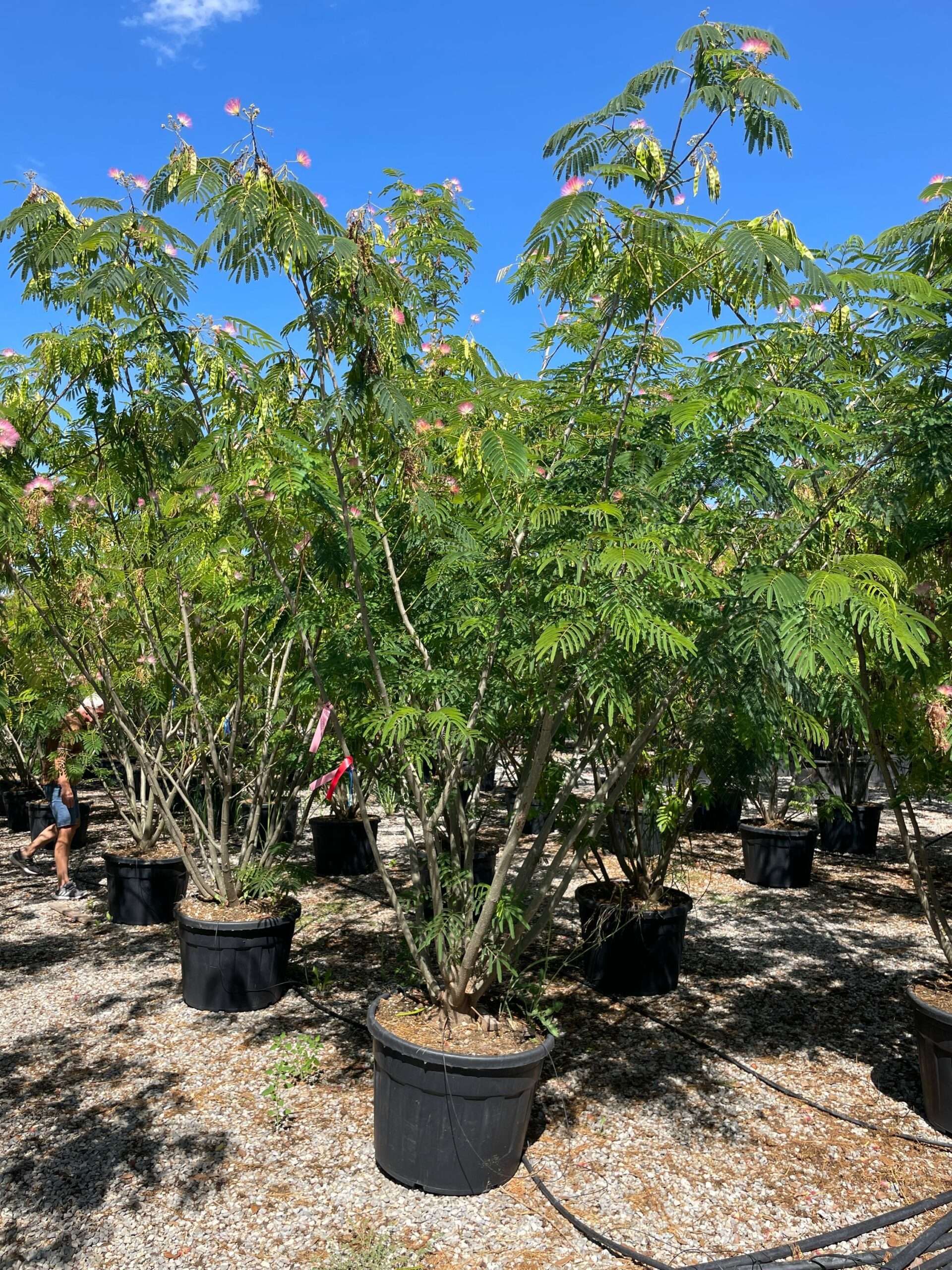 1691400161 scaled 75b3eb07