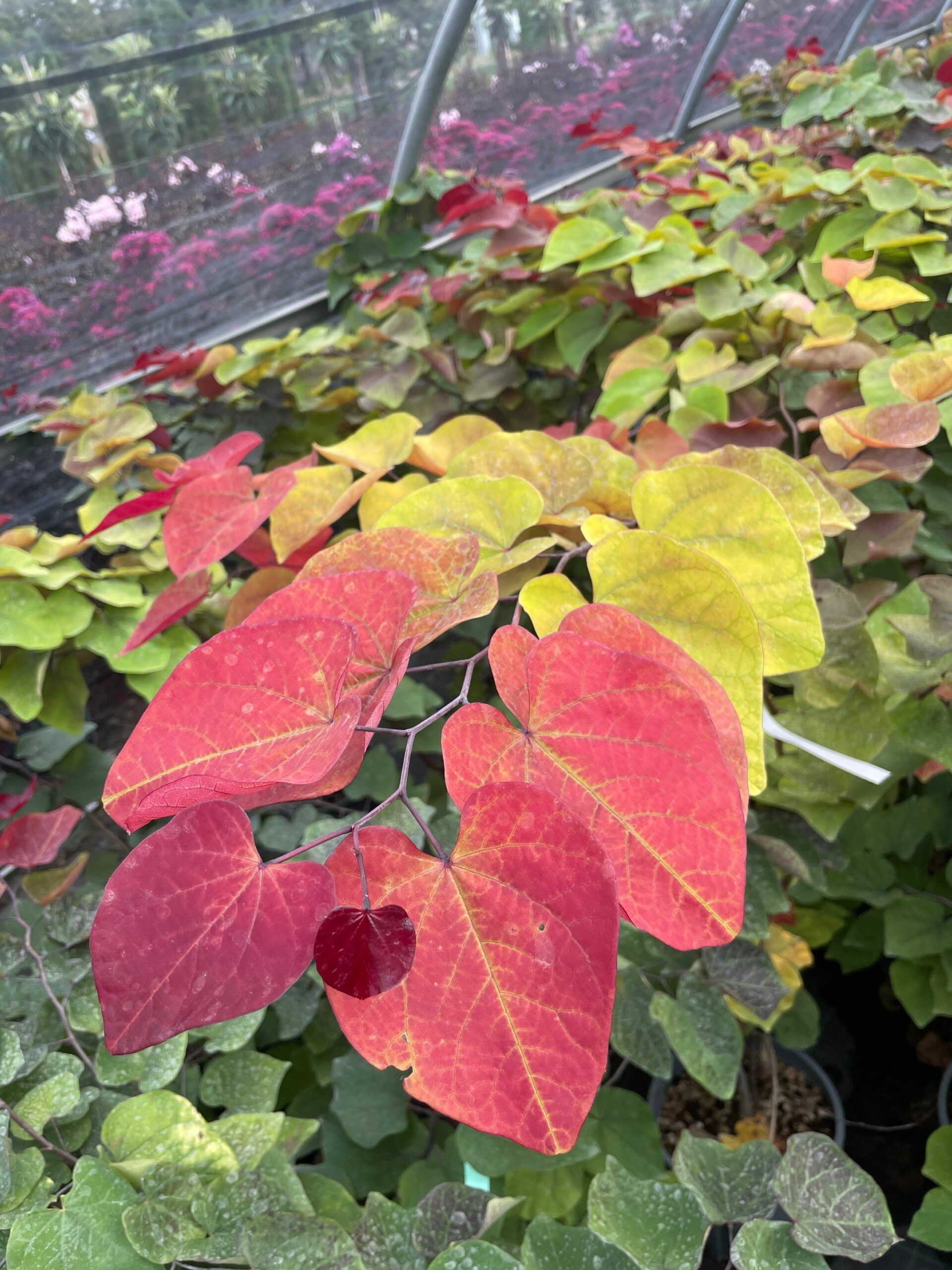 1695046416 scaled 7505c02f