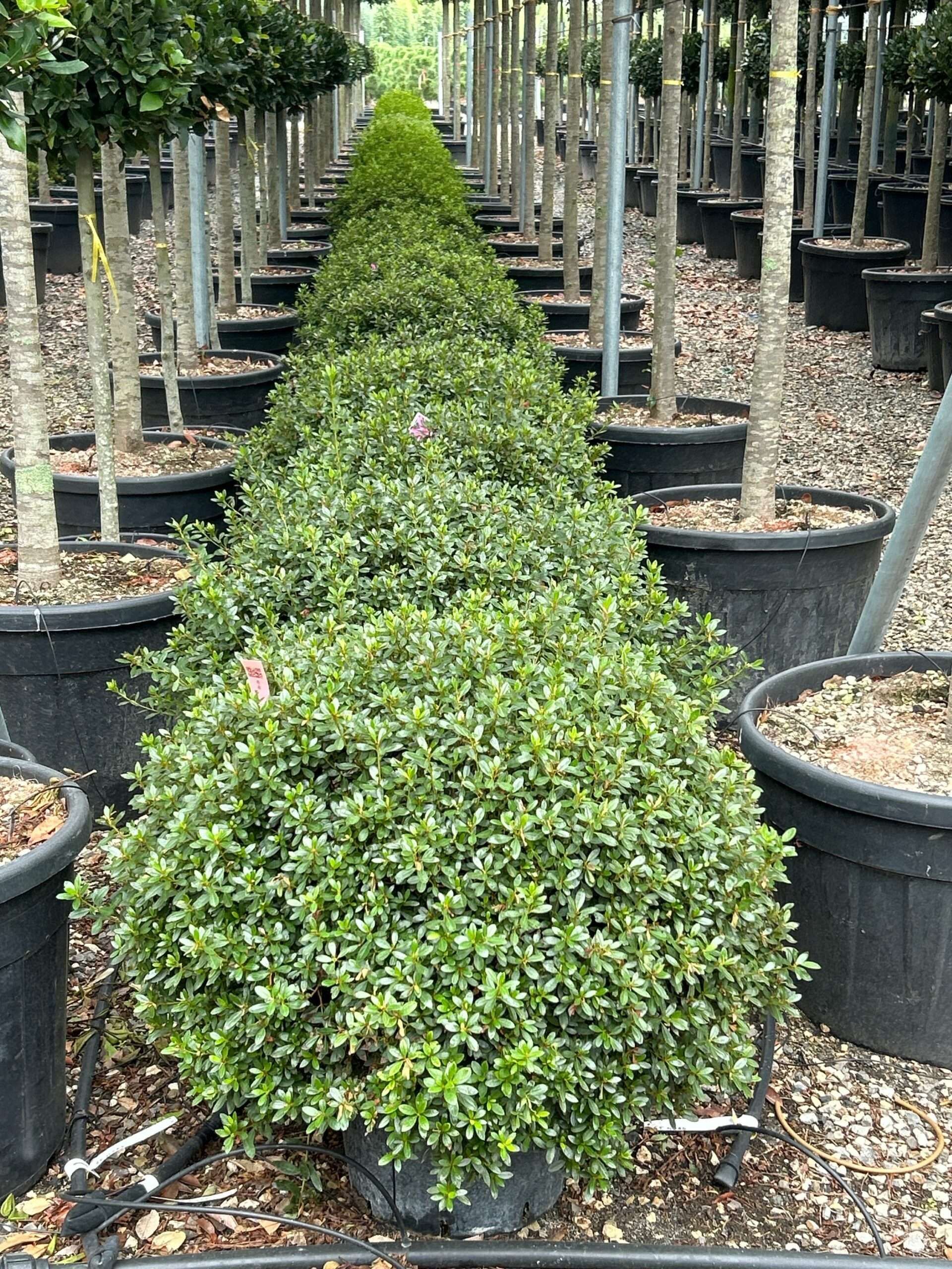 1696841470 scaled 7561f1cc