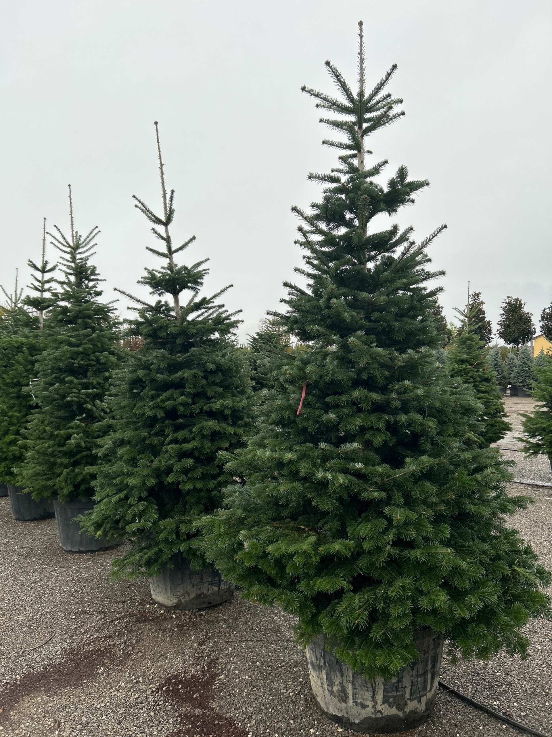 1698156243 scaled 7512e29b