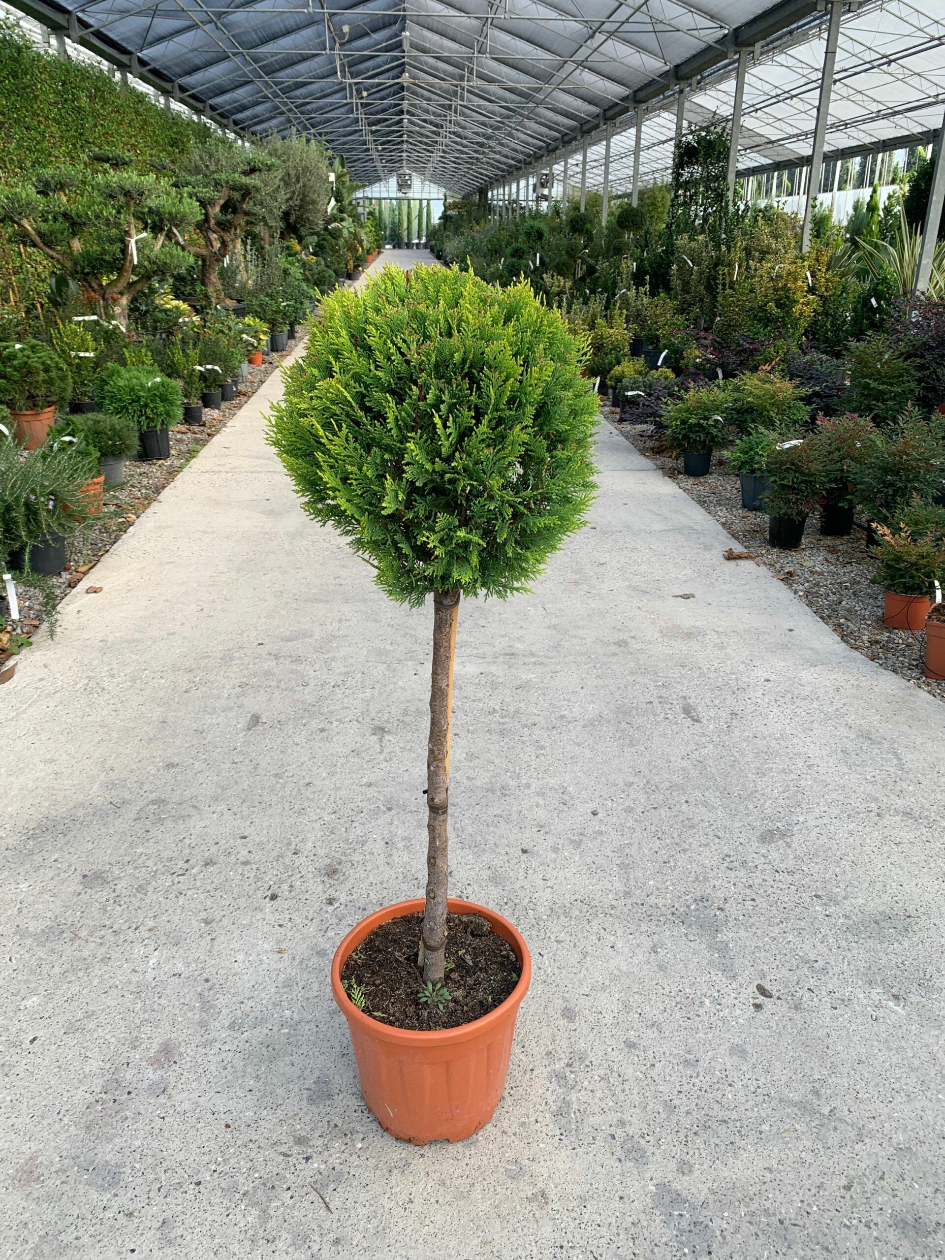 1634974975 scaled 7649ecc0