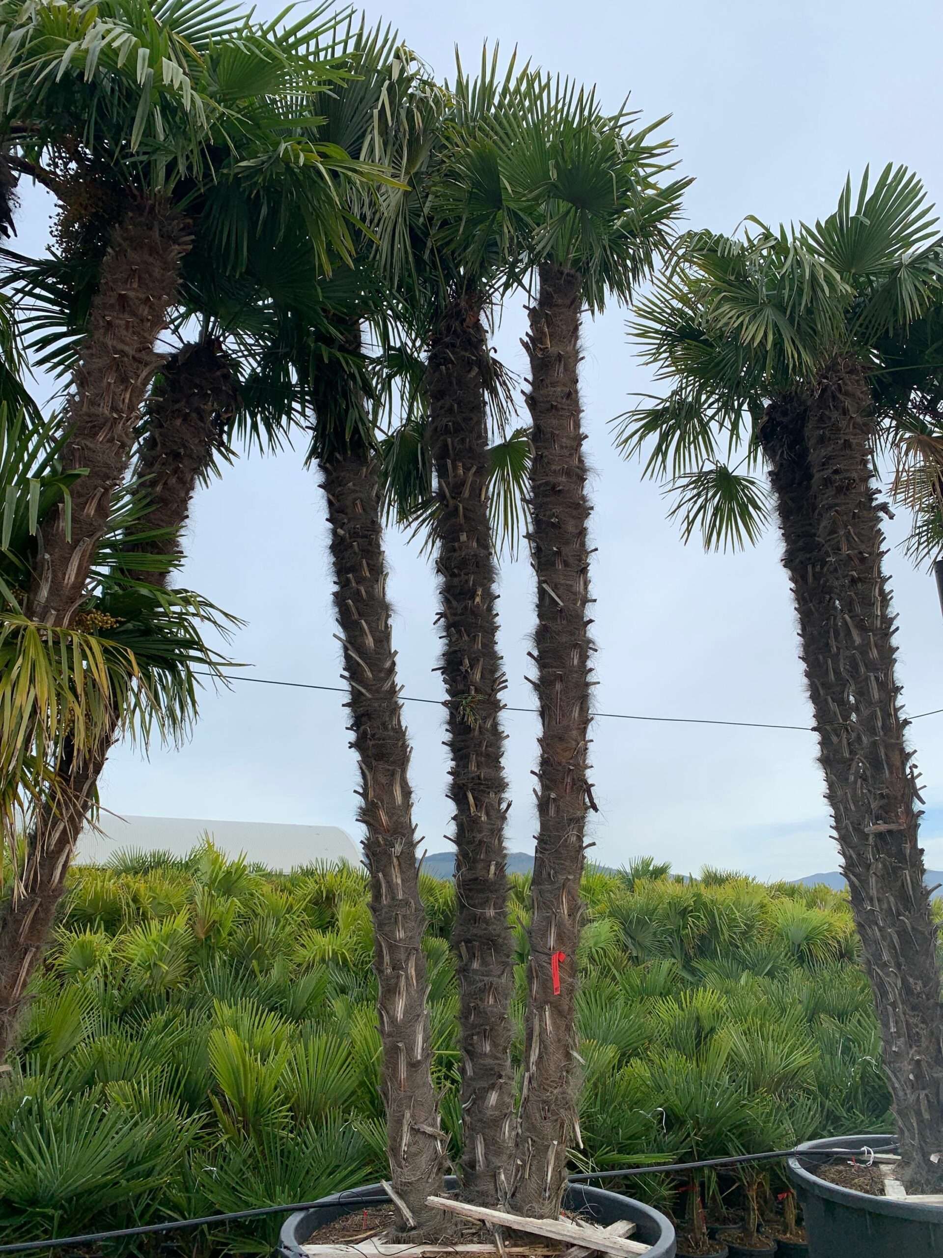 1636102582 1 scaled 764b258a