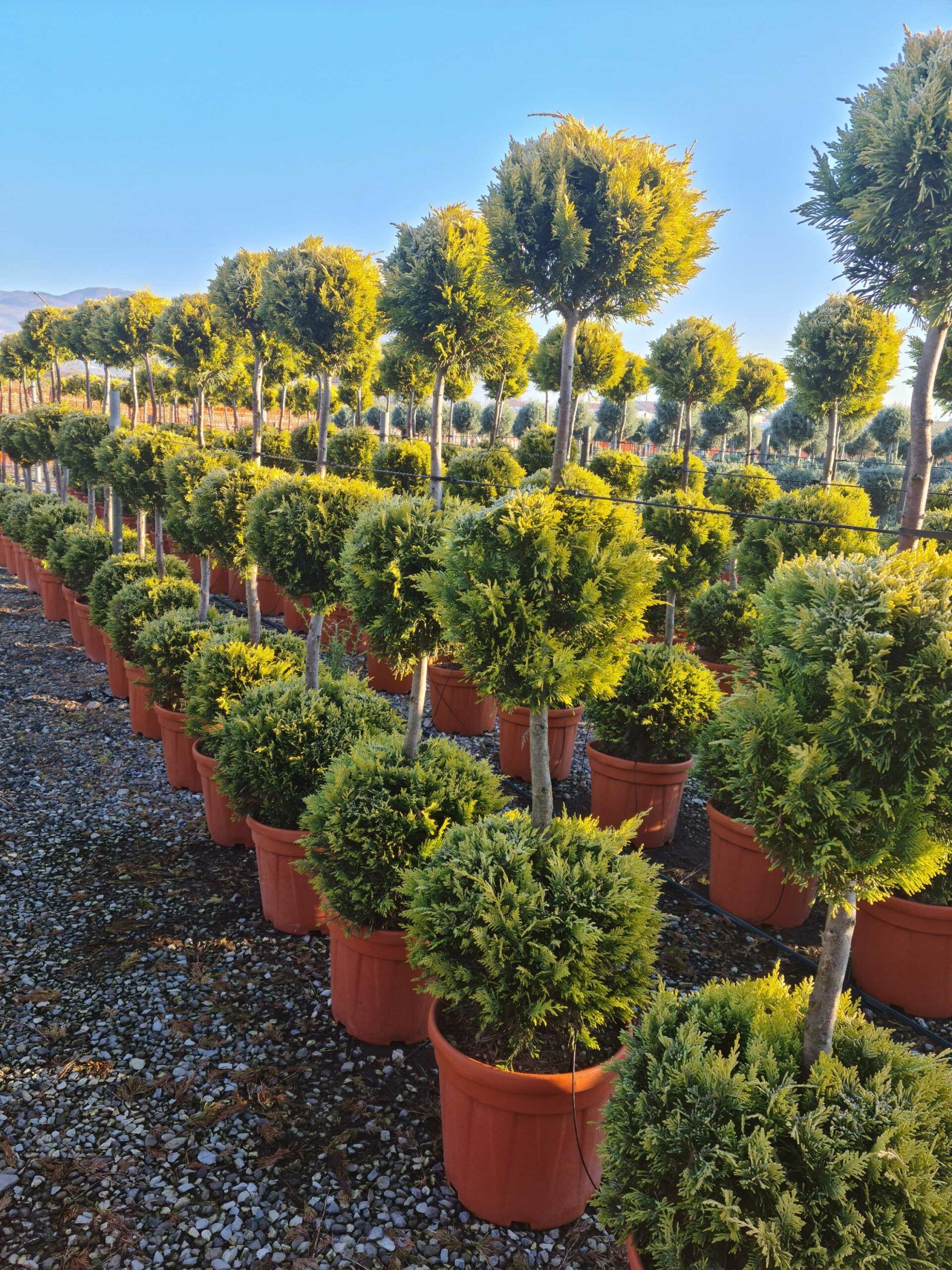 1639815074 scaled 76f00648