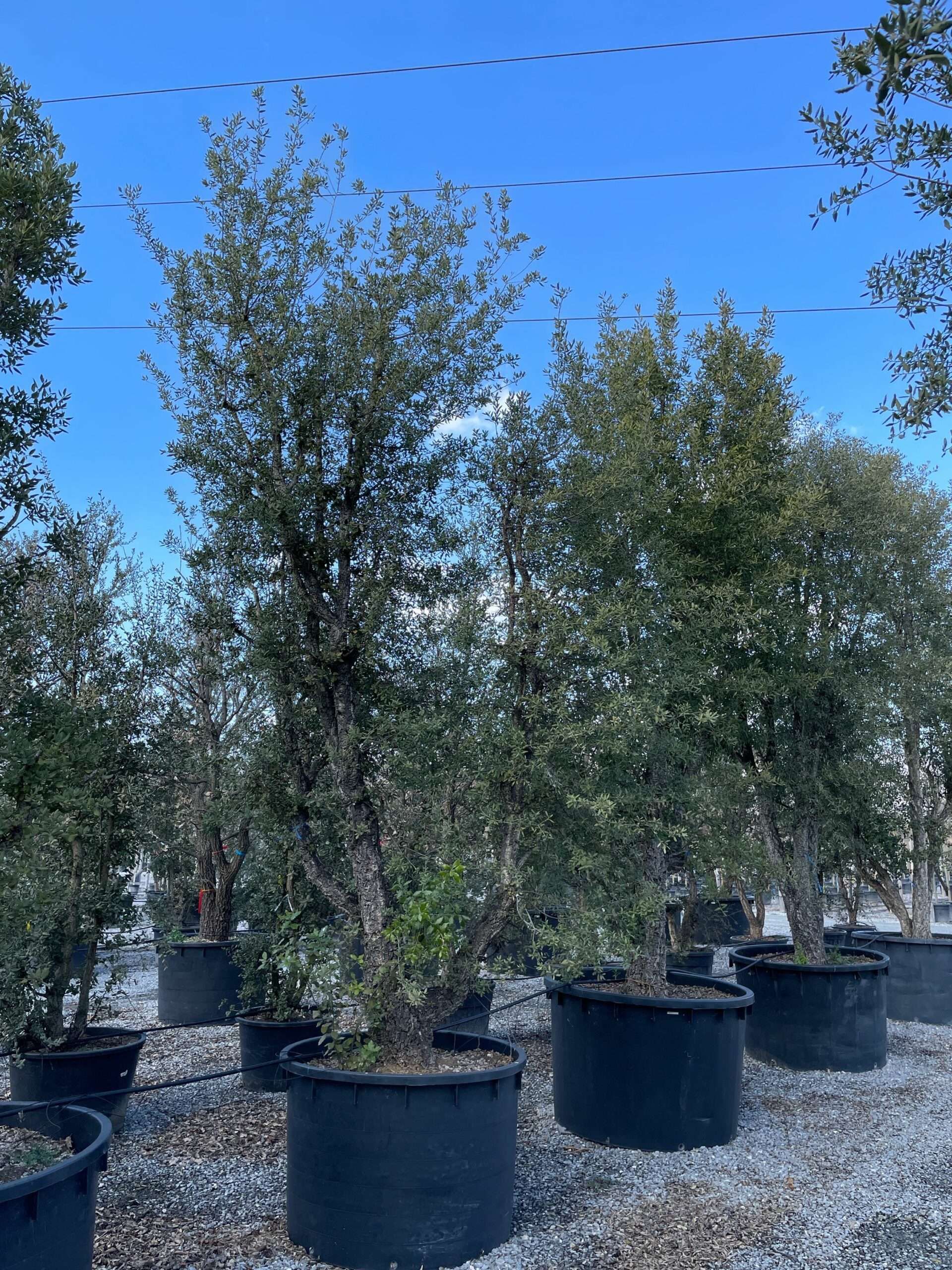 1644240875 scaled 7623b8d3