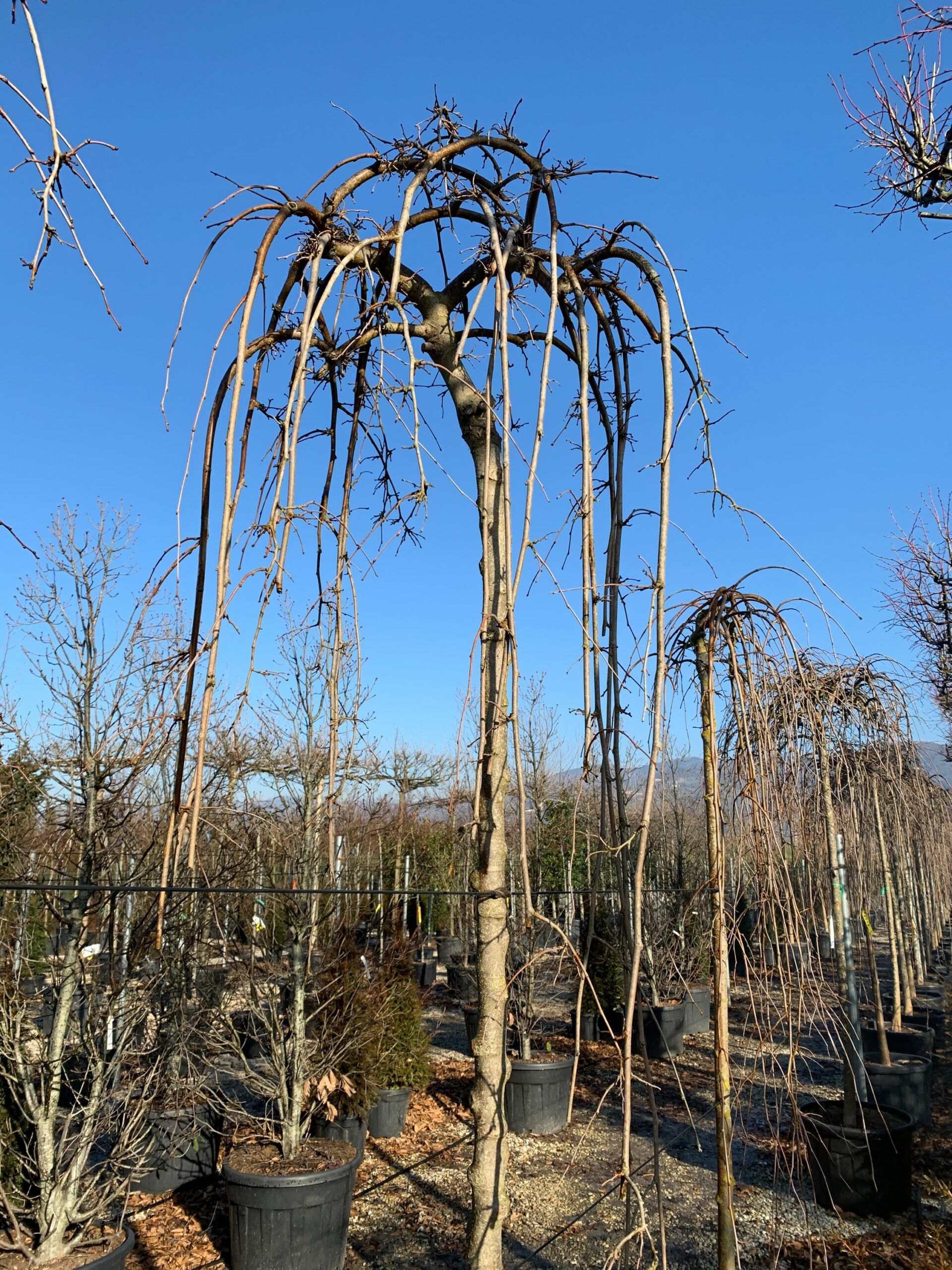 1644396218 scaled 76b1641d