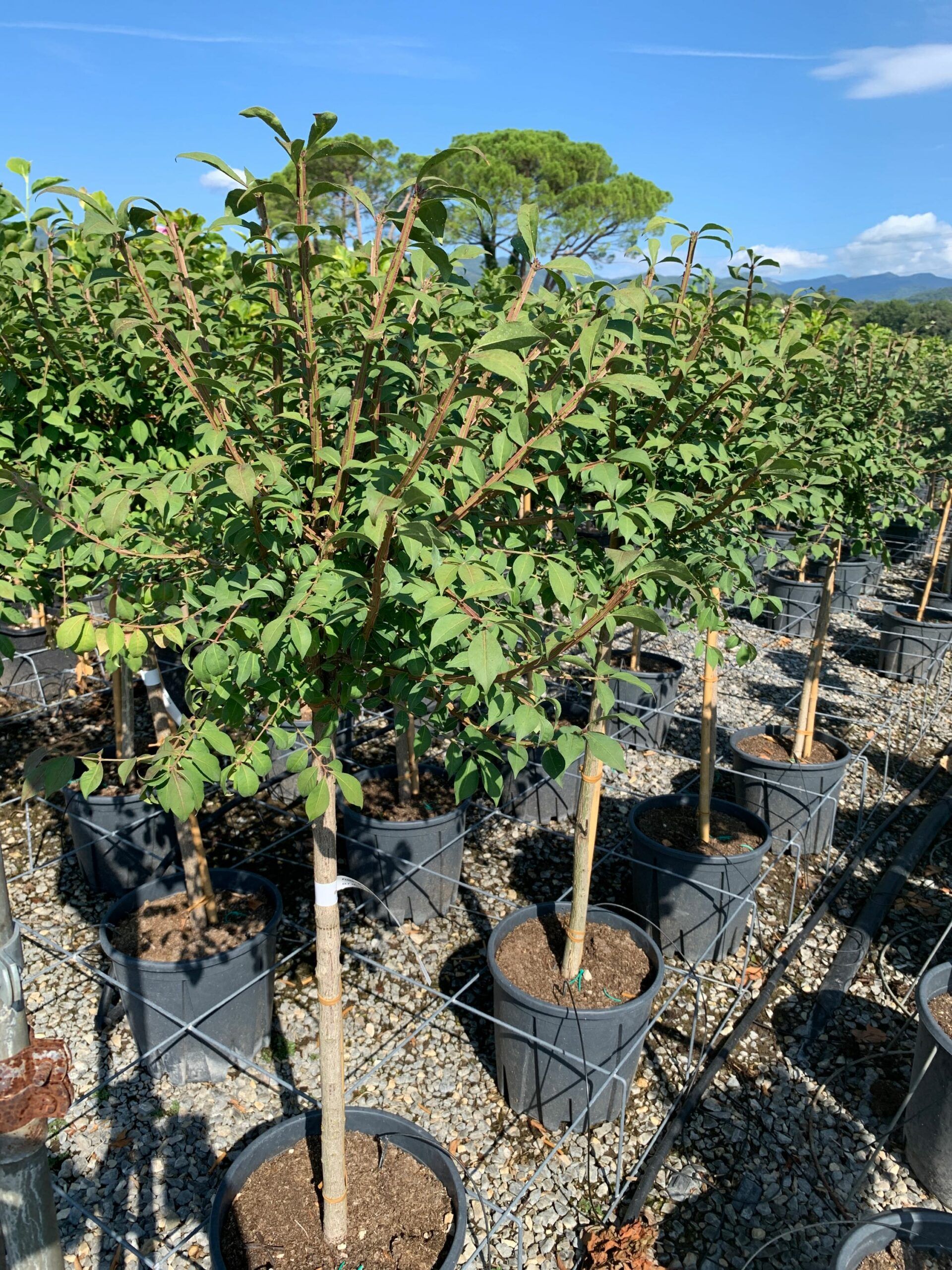 1662108190 scaled 76a93a55