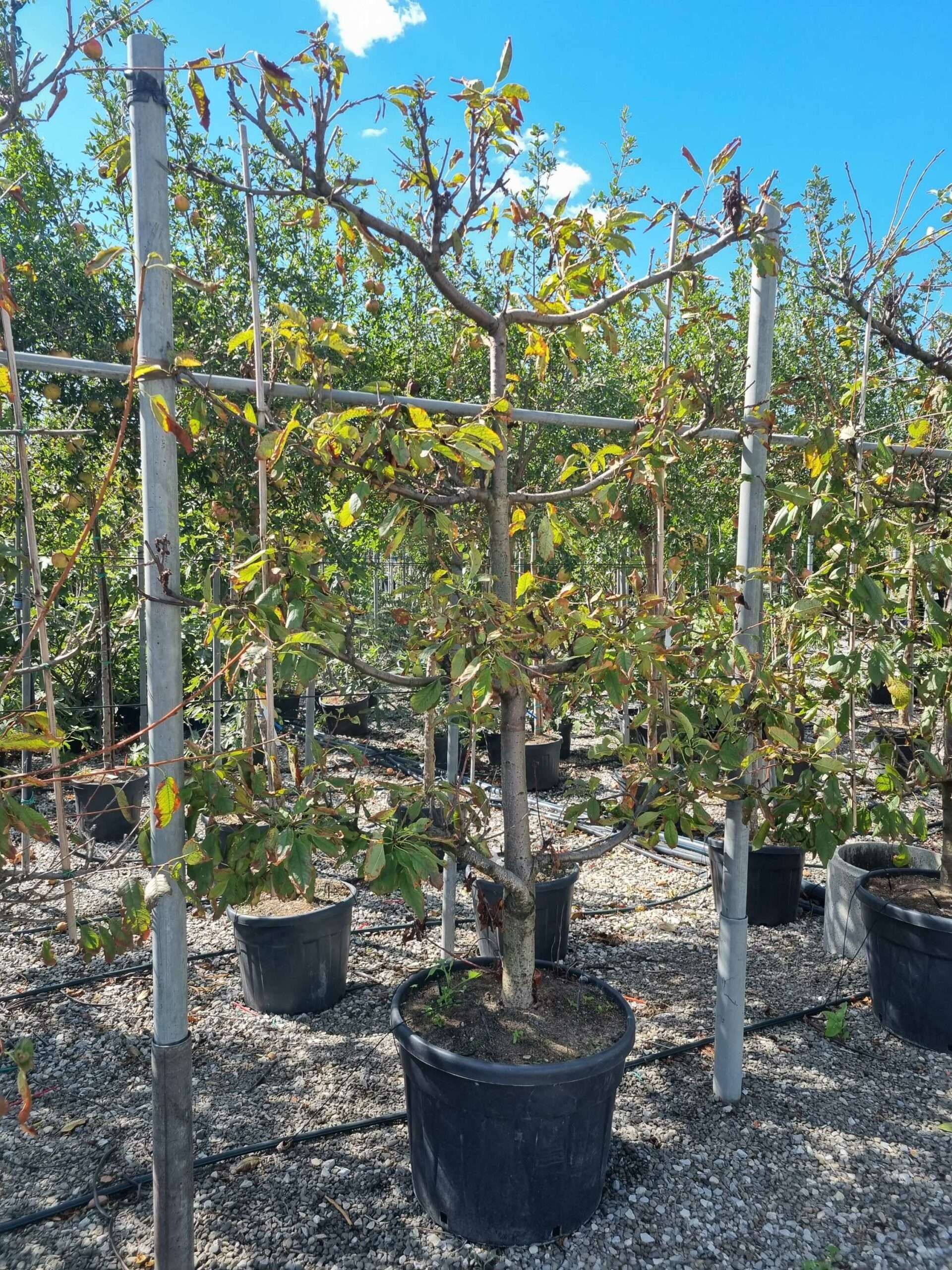 1663753553 scaled 7601a558