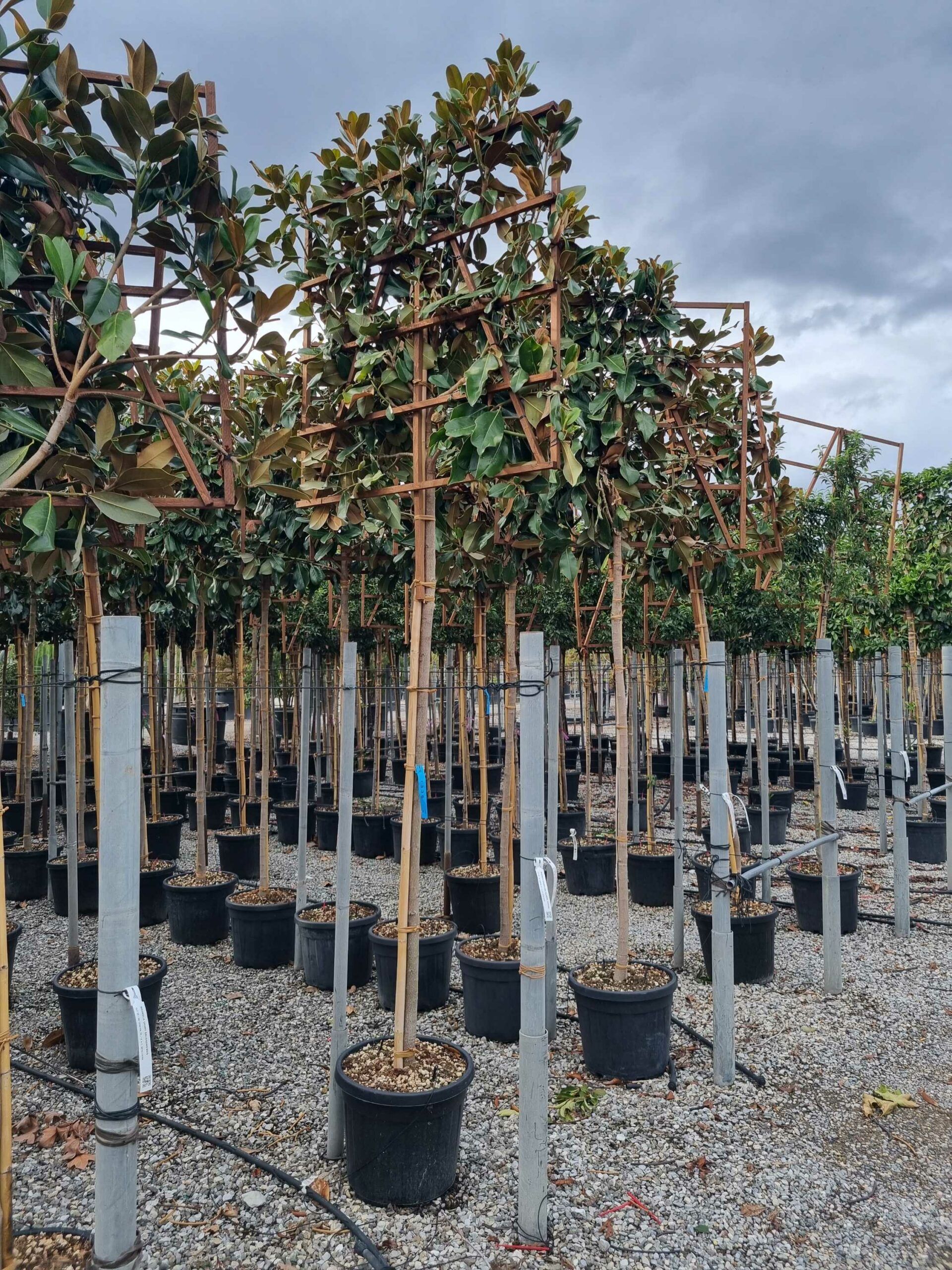 1664463372 scaled 76184571