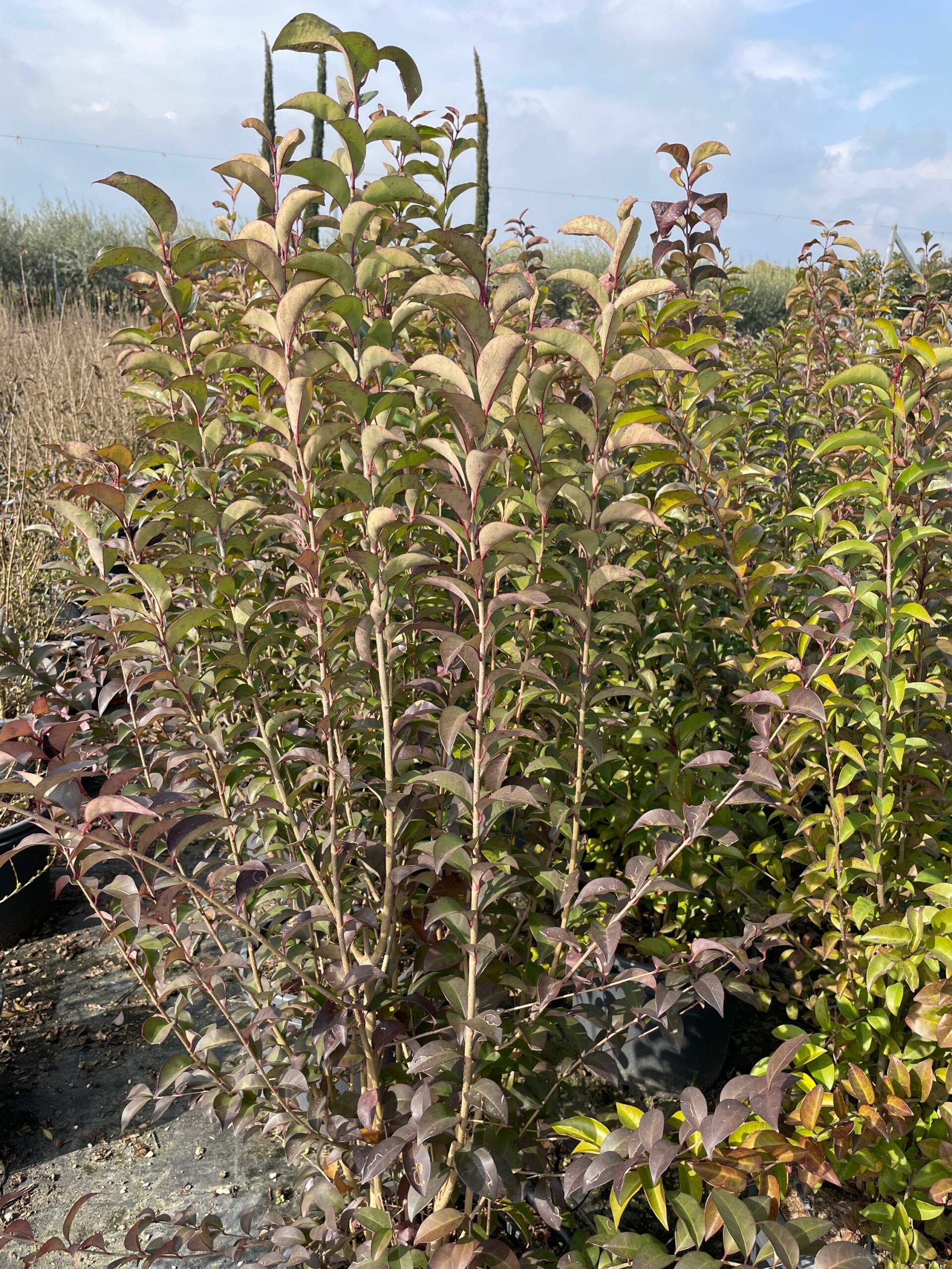 1677149066 scaled 7627f61c