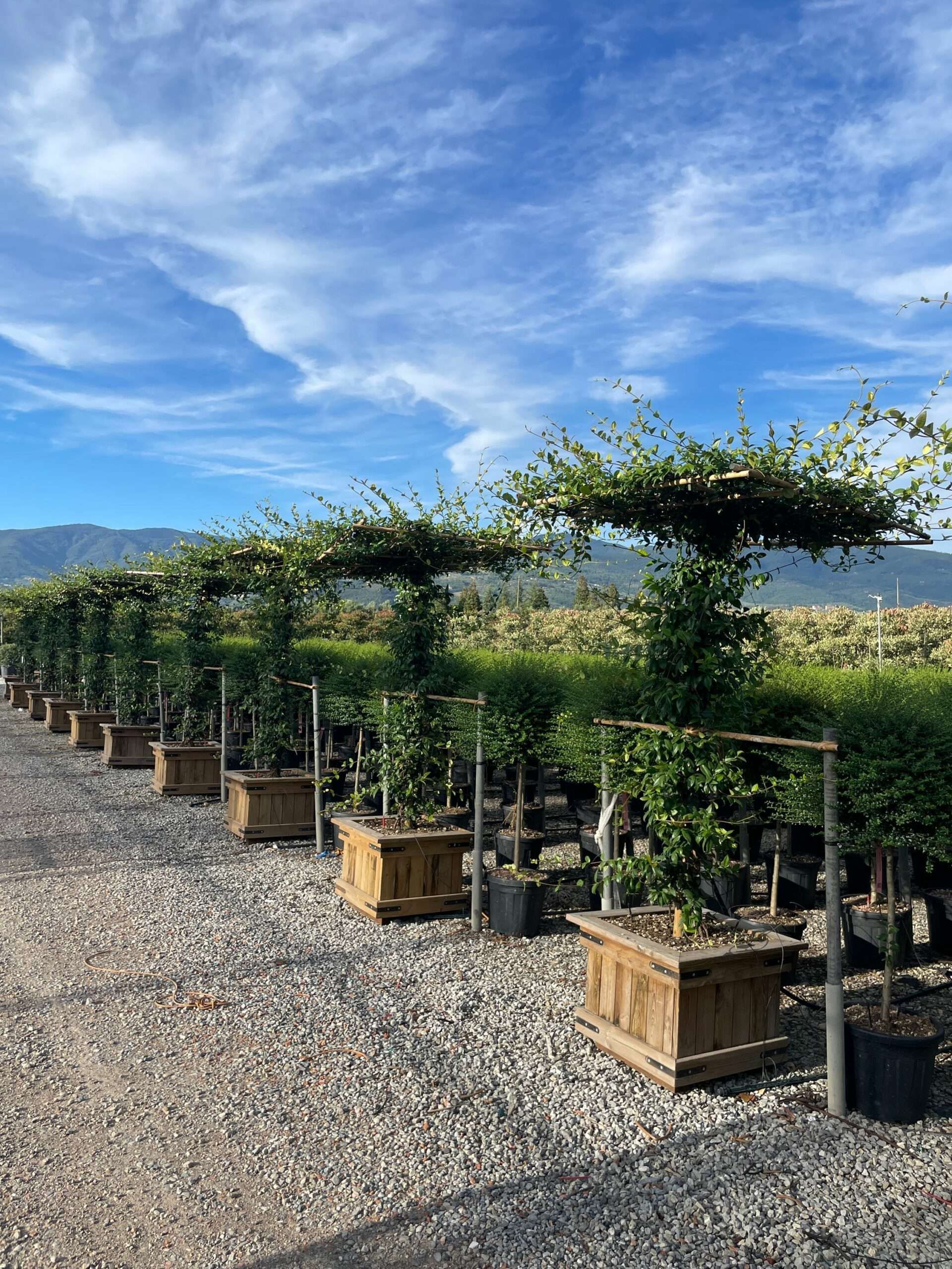 1691511798 scaled 76503ff8