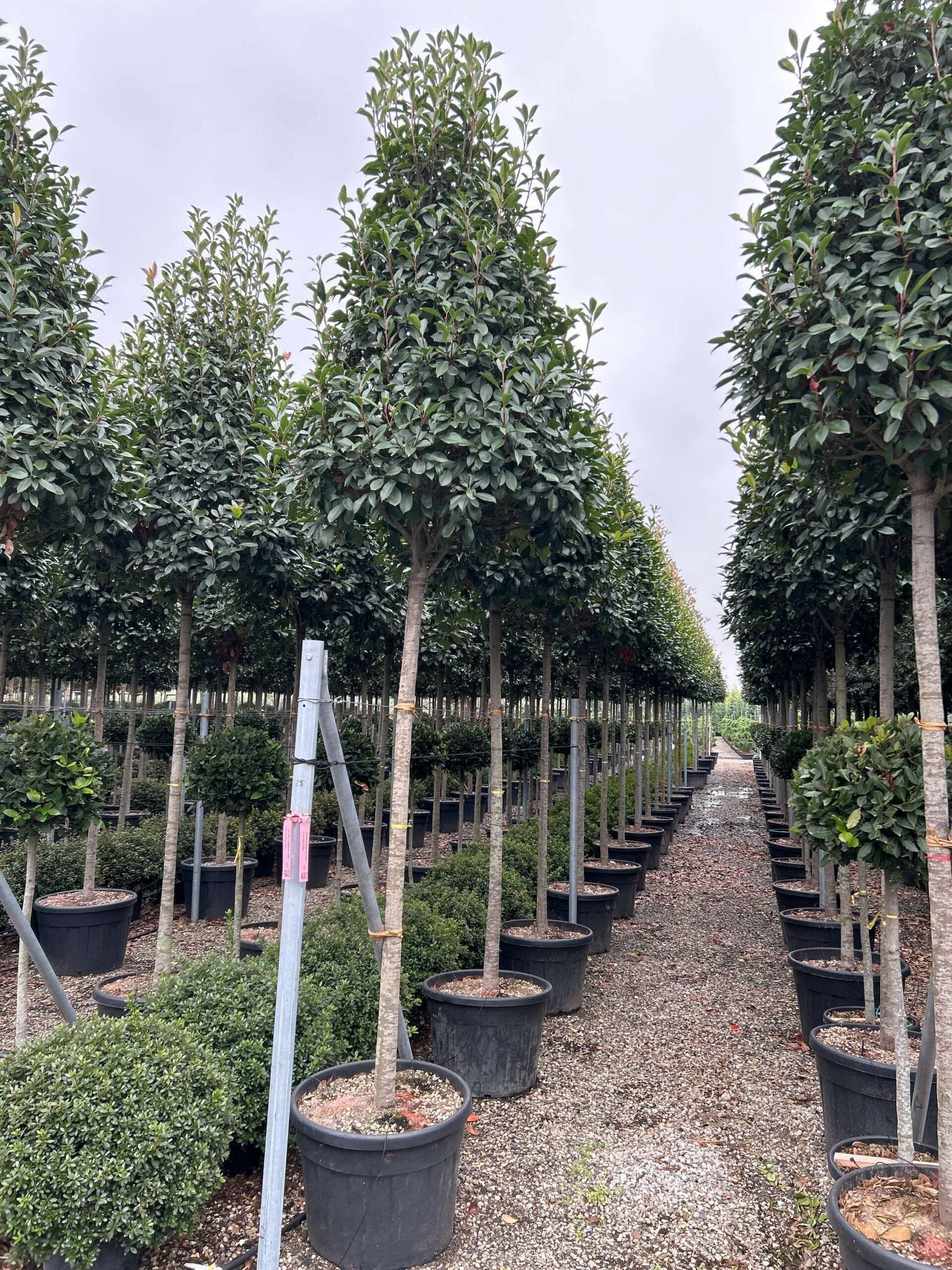 1696841681 scaled 76caa7ac