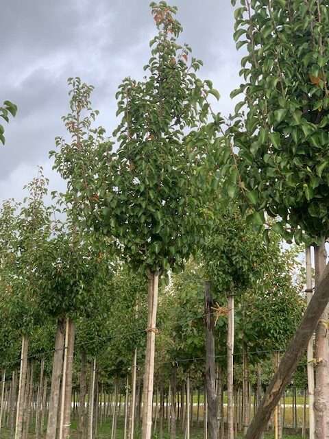 1604128000 rotated 77b182c2