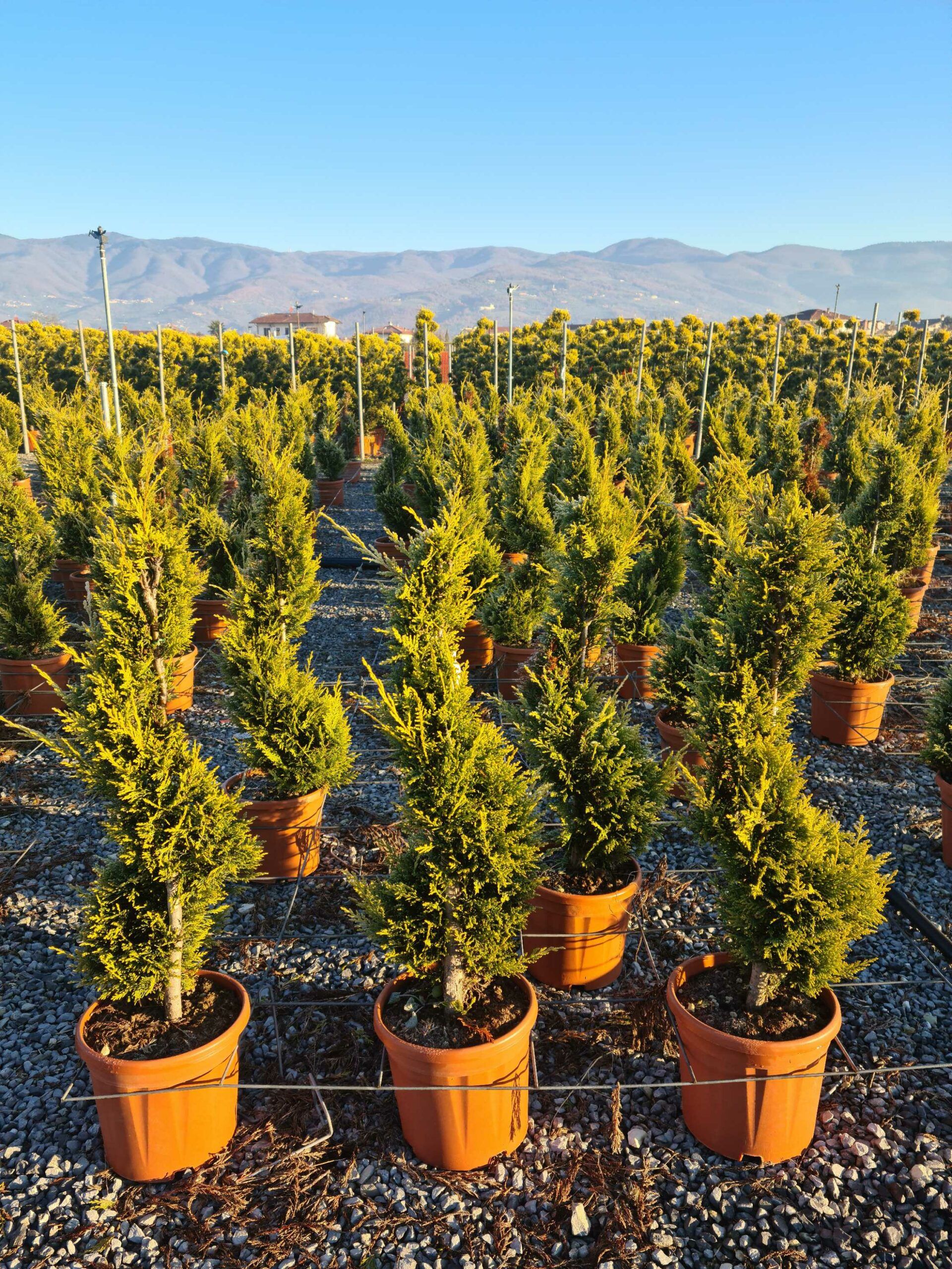 1639814222 1 scaled 77ad944a