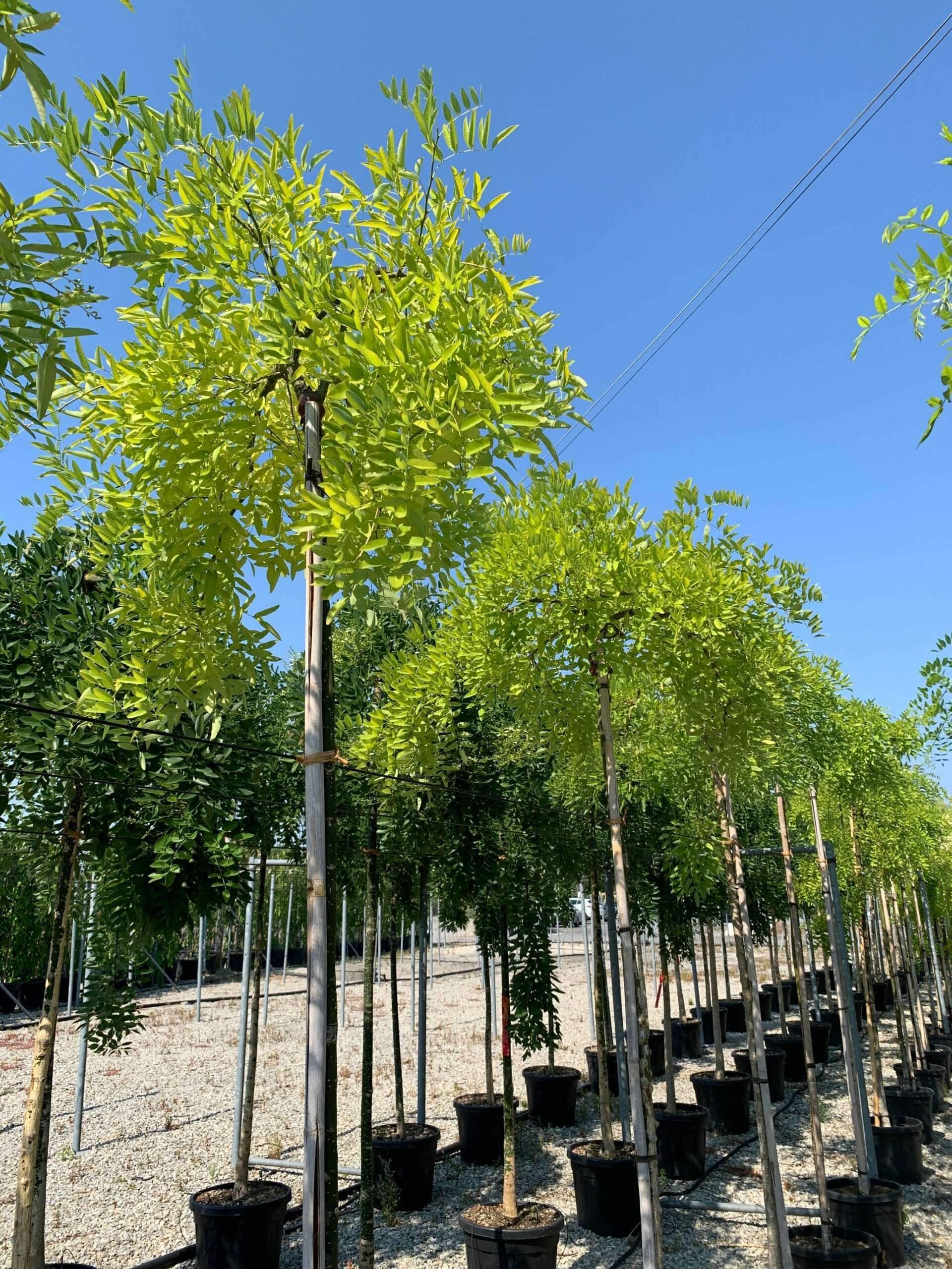 1658132509 scaled 770802e0