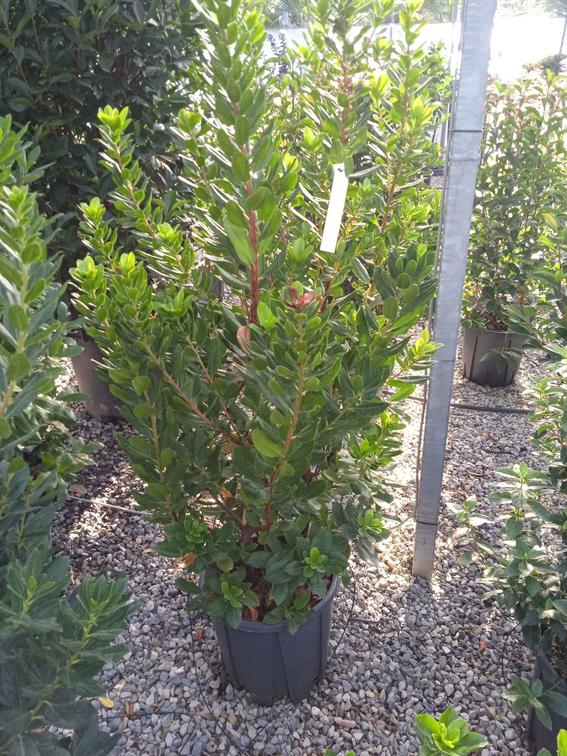 1662446733 scaled 77e27042