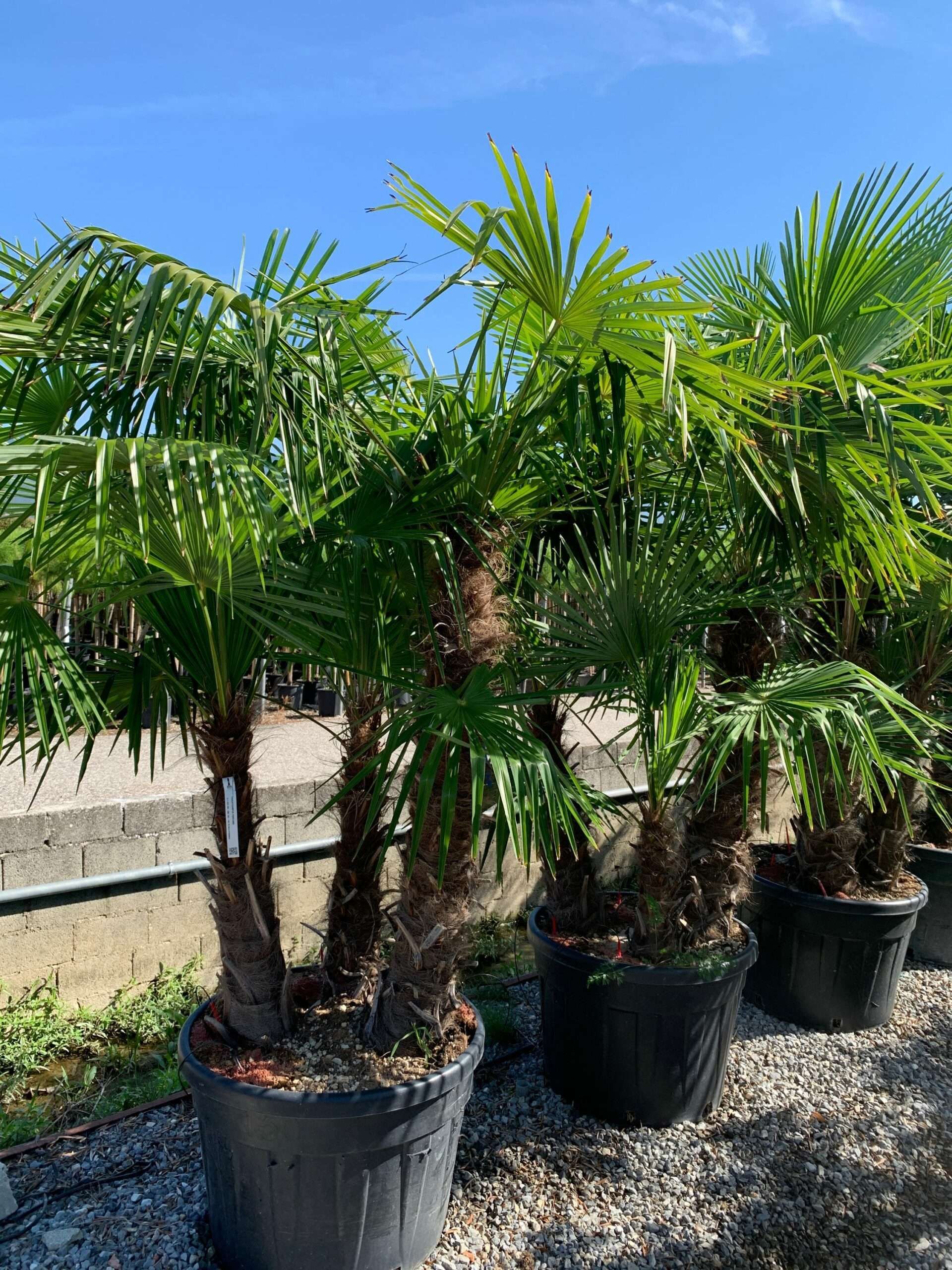 1662453980 scaled 778e96e4