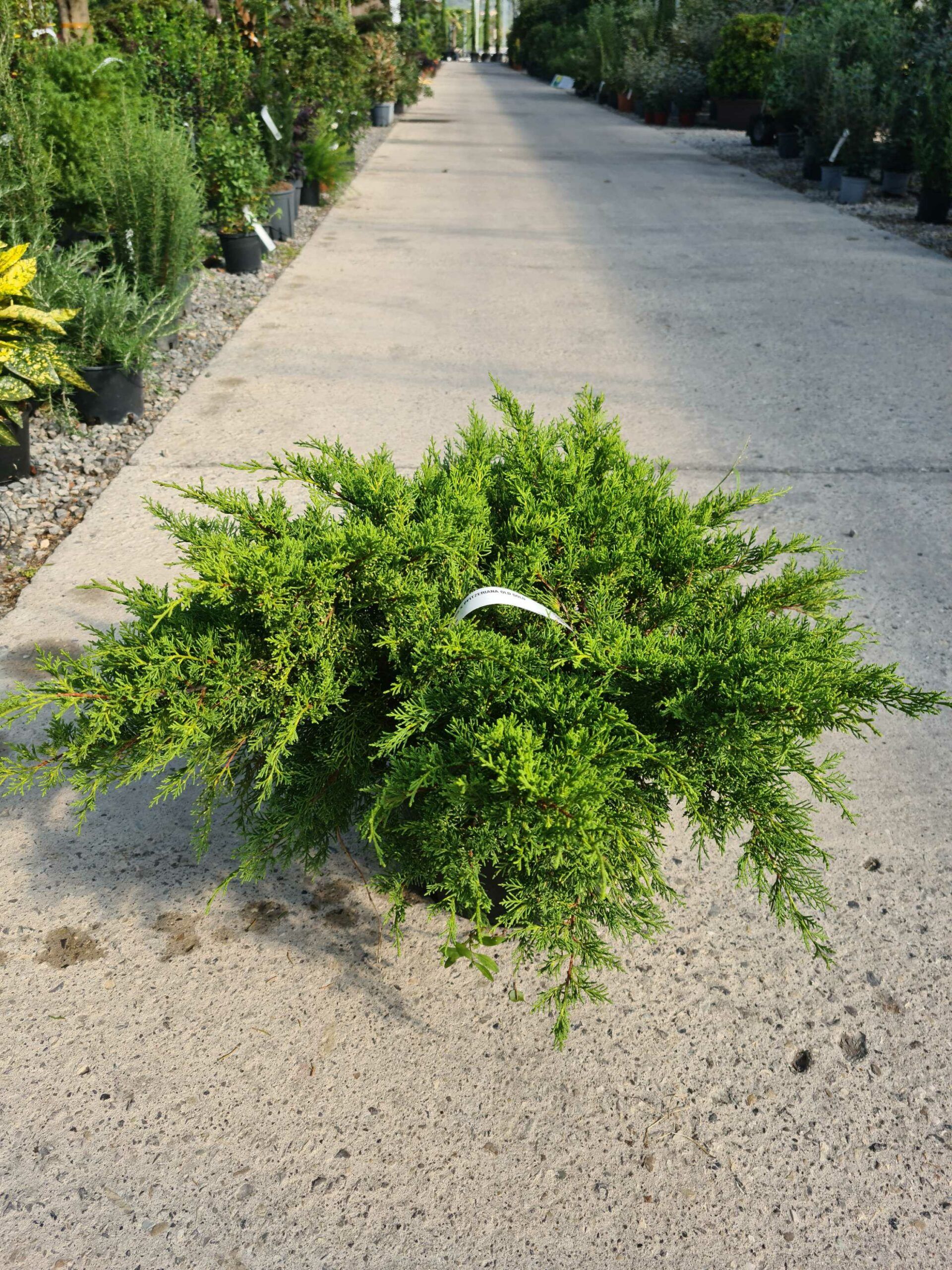 1664787237 scaled 77c070c9