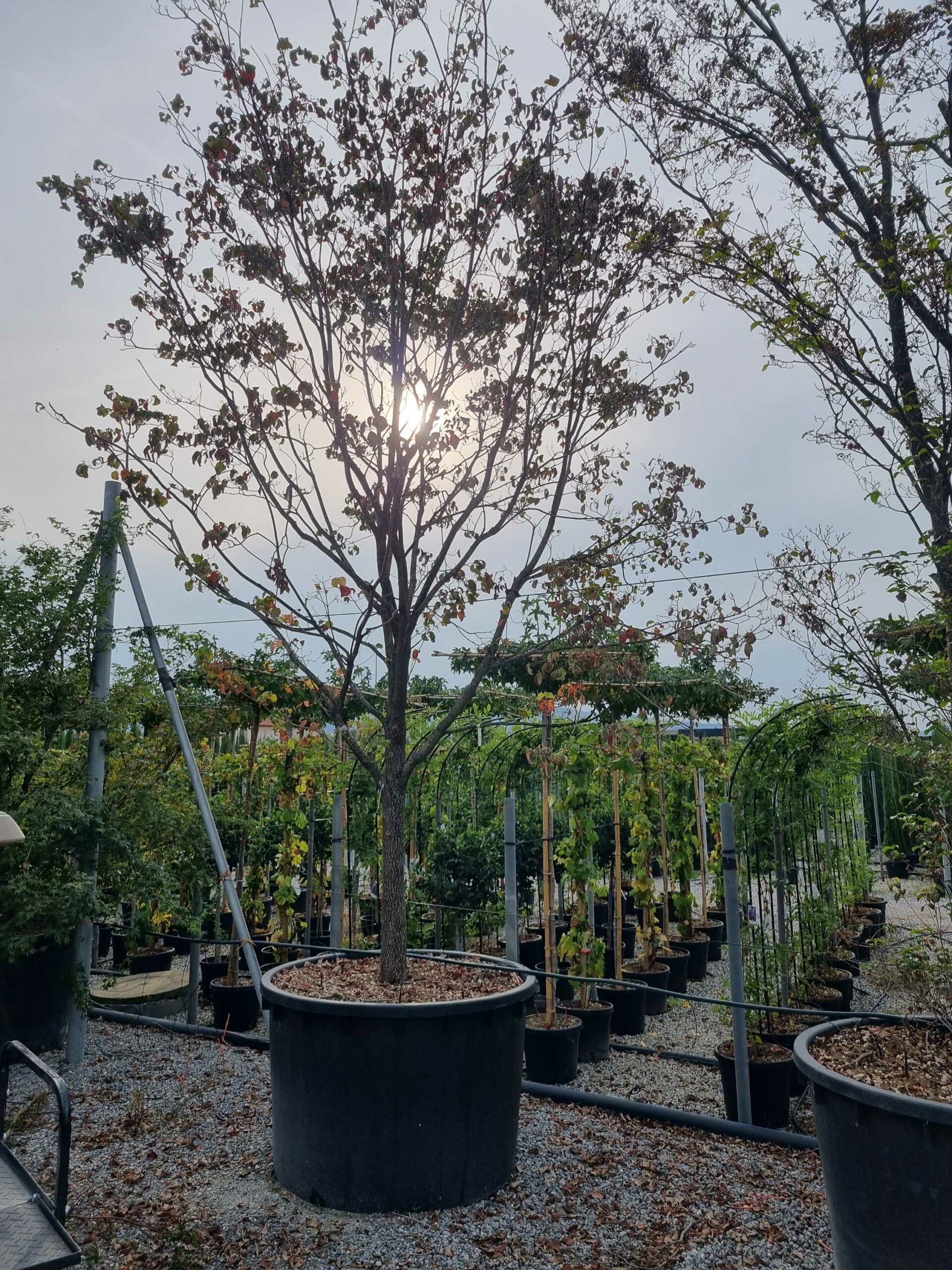 1665585134 scaled 77b716c4