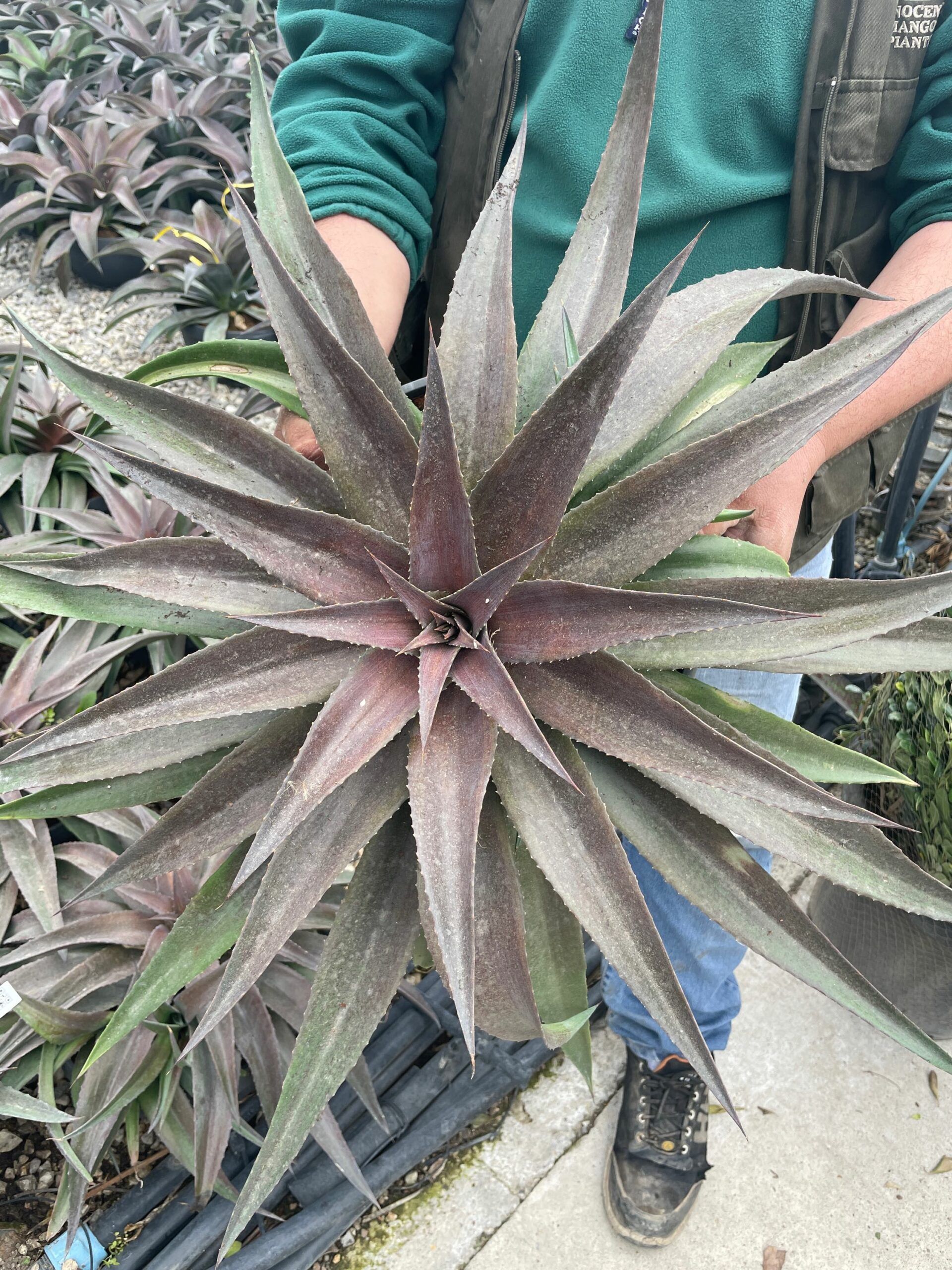 1678194275 scaled 772e406d