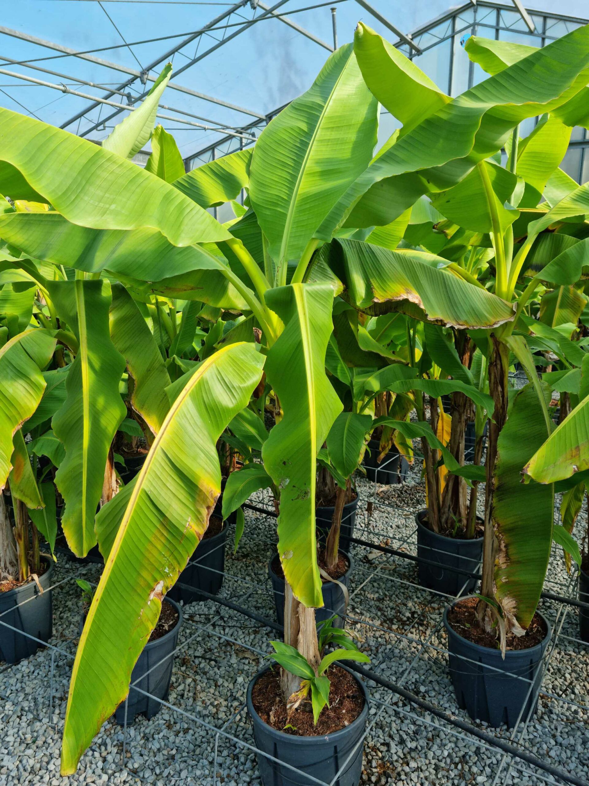 1685602802 scaled 77df7ef2