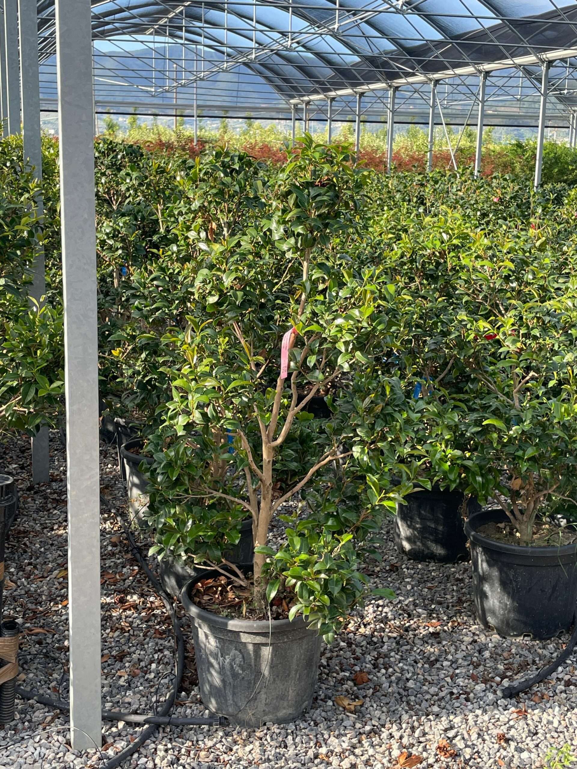 1691512059 scaled 77916f0e