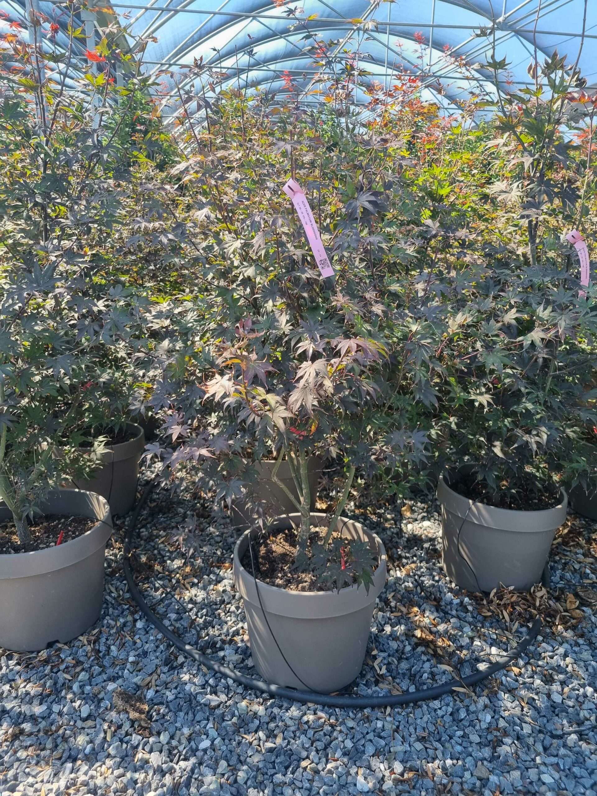 1692694450 scaled 77b8035e