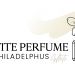 Philadelphus Petite Perfume White 1 77396aae