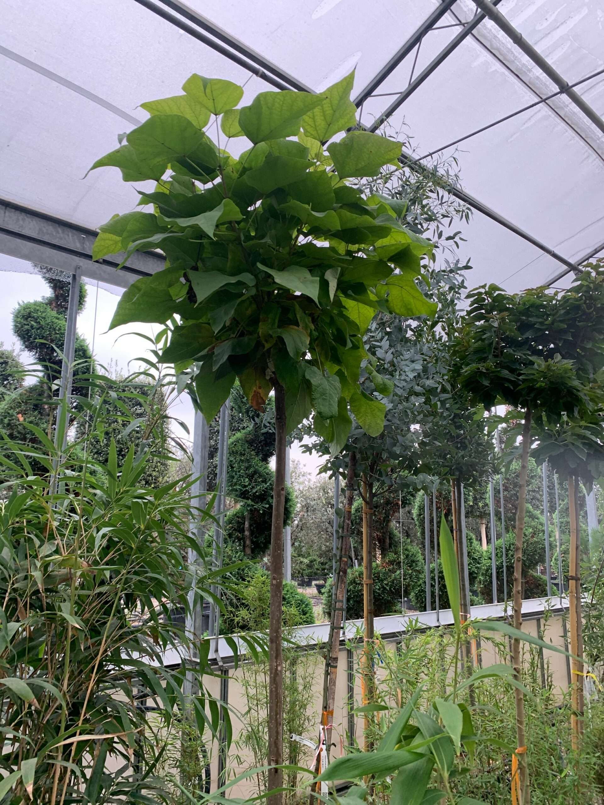 1633336294 scaled 7874e4ed