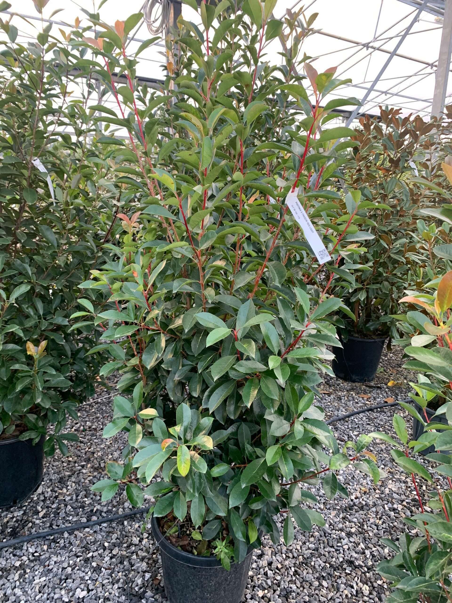 1633447549 scaled 78bd1187