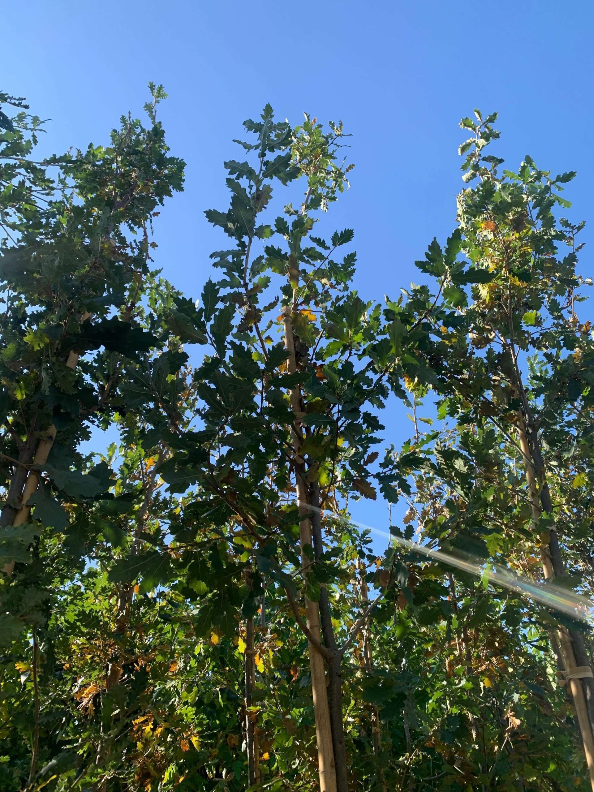 1635325786 scaled 789b016b