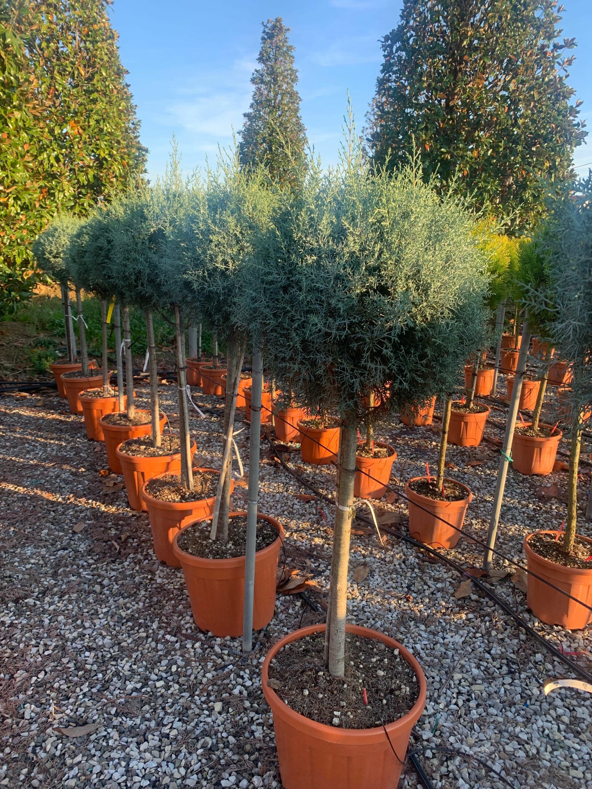 1637332927 scaled 78ba4b76